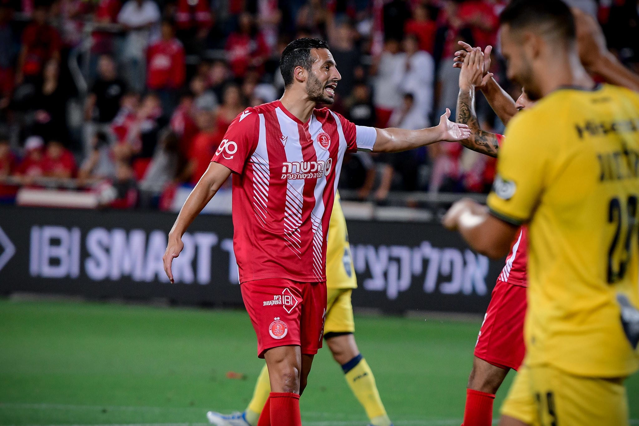 דן איינבינדר, שחקן הפועל תל אביב