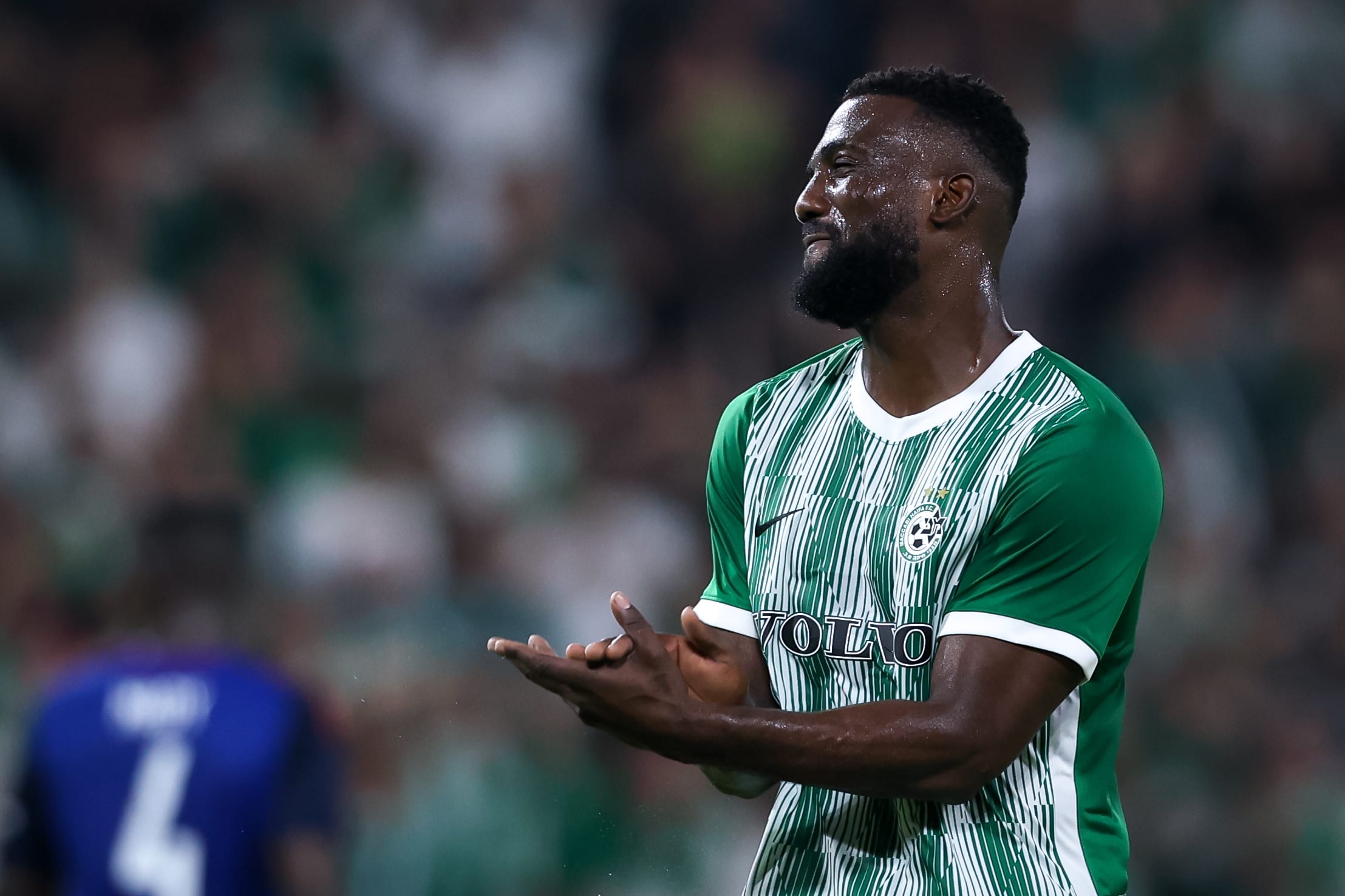 פרנזי פיירו מכבי חיפה