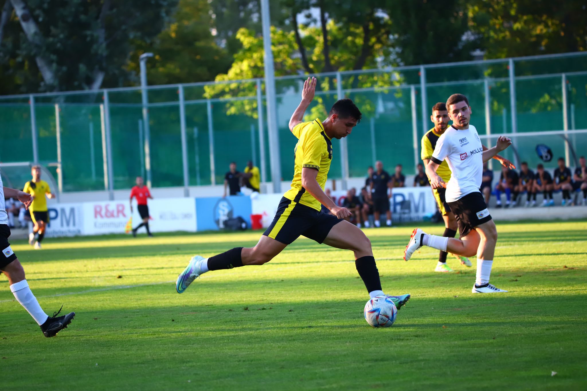 סתיו נחמני, בית"ר ירושלים