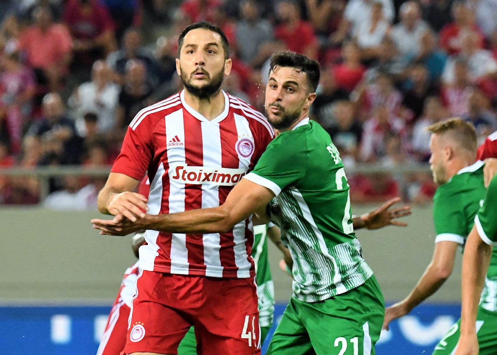 דין דוד מול קוסטאס מנולאס