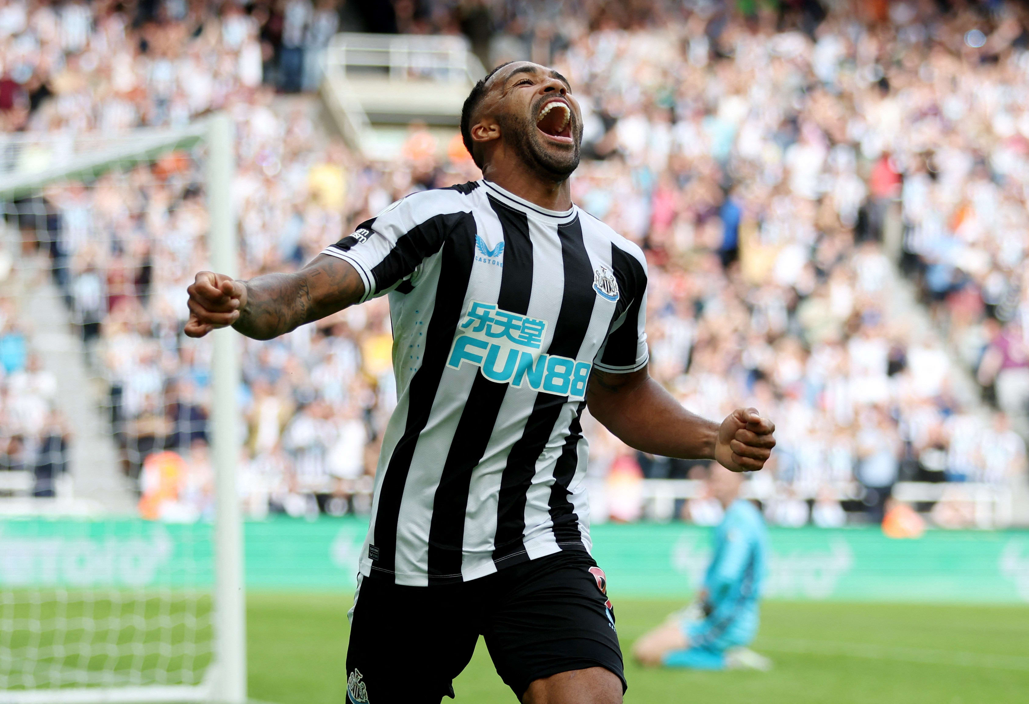 שחקן ניוקאסל, קאלום ווילסון