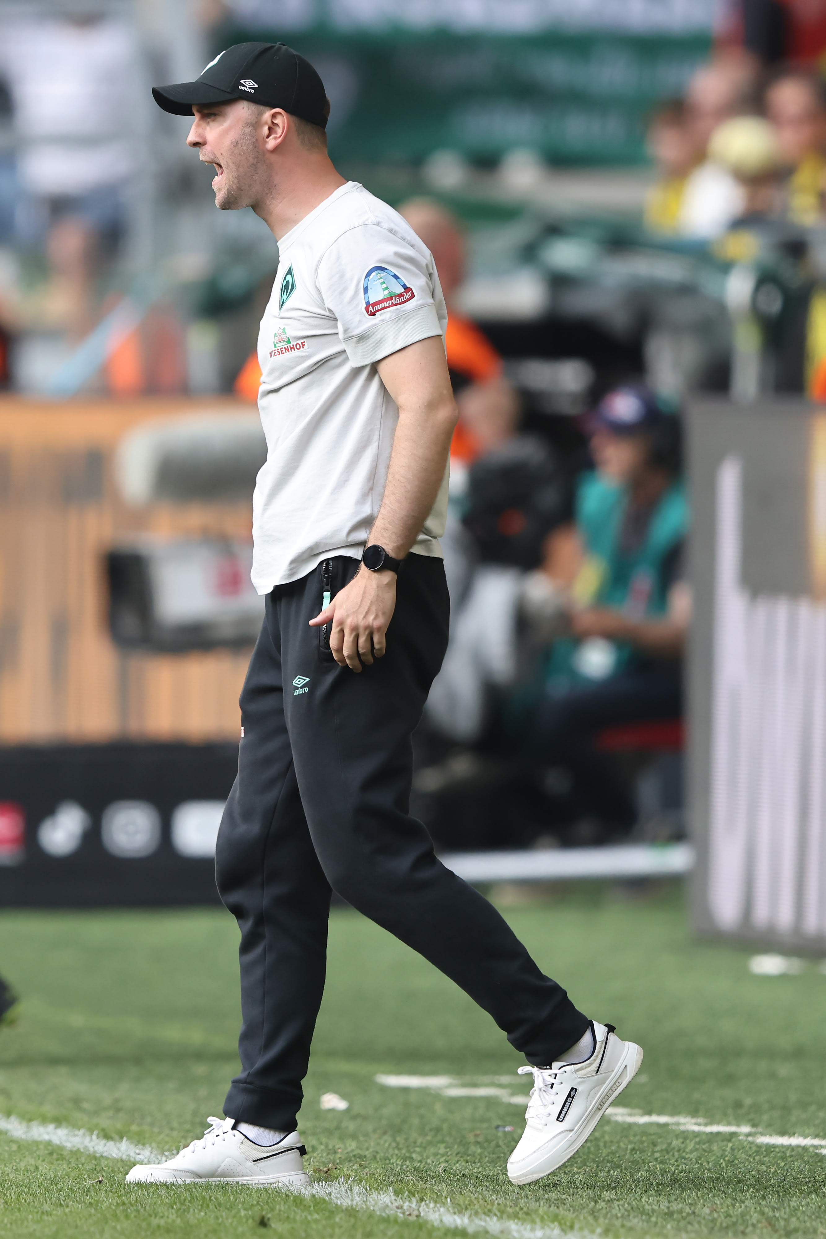 מאמן ורדר ברמן אולה ורנר