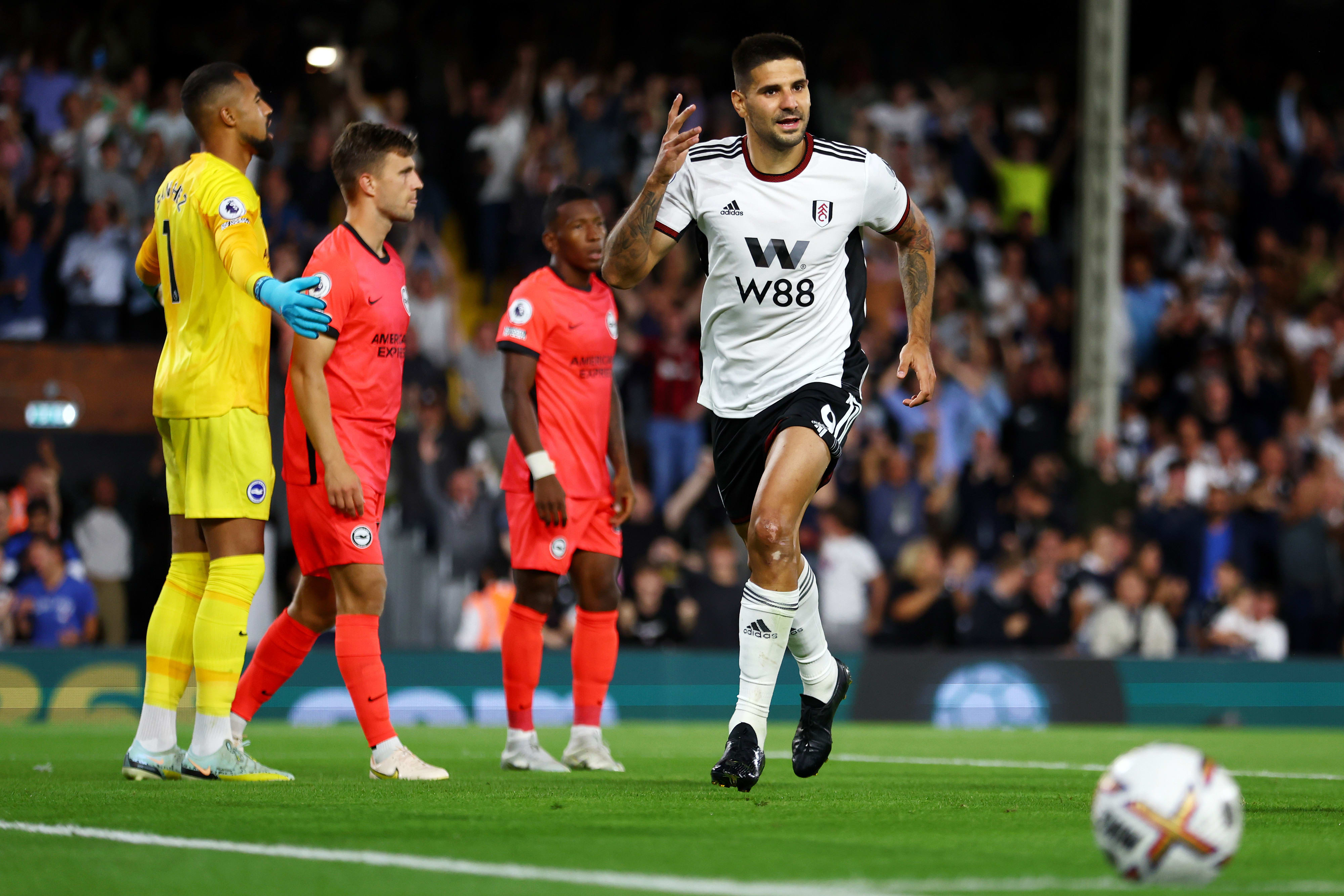 אלכסנדר מיטרוביץ', חלוץ פולהאם