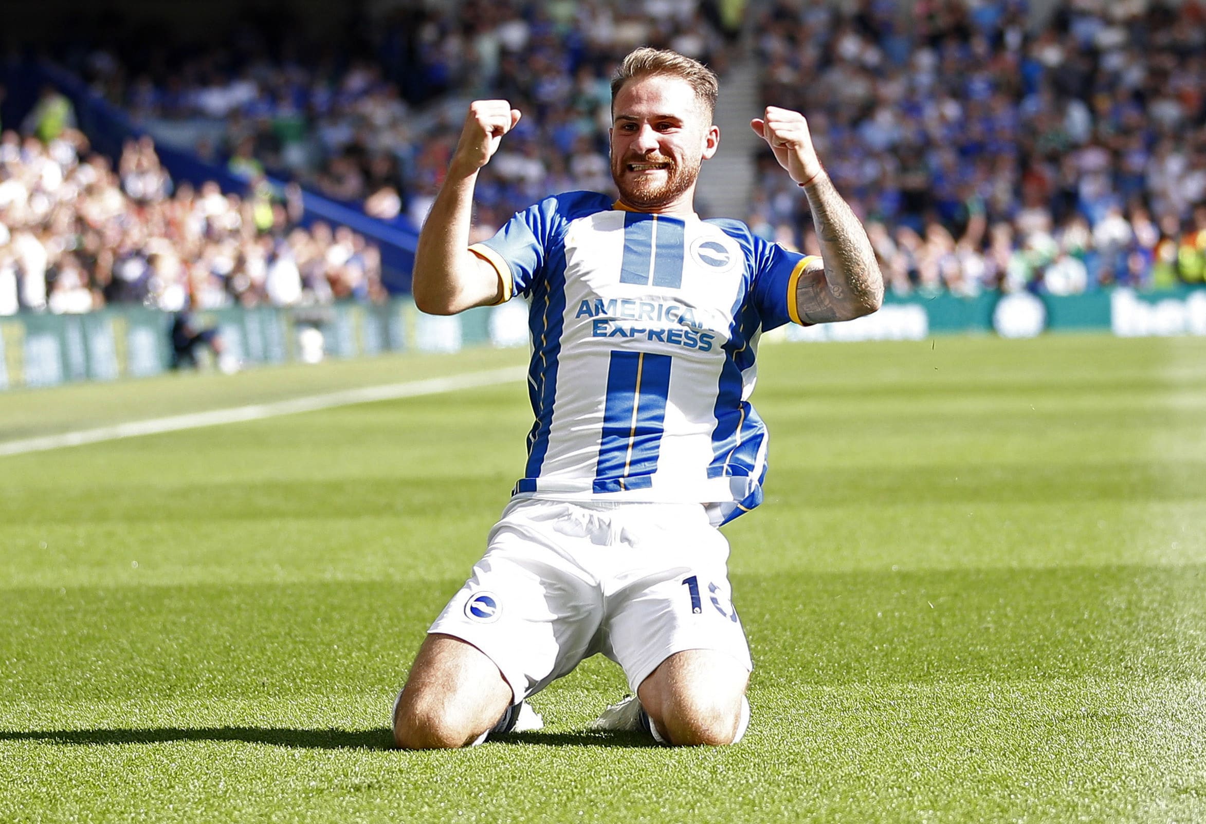 אלכסיס מקאליסטר שחקן ברייטון חוגג שער