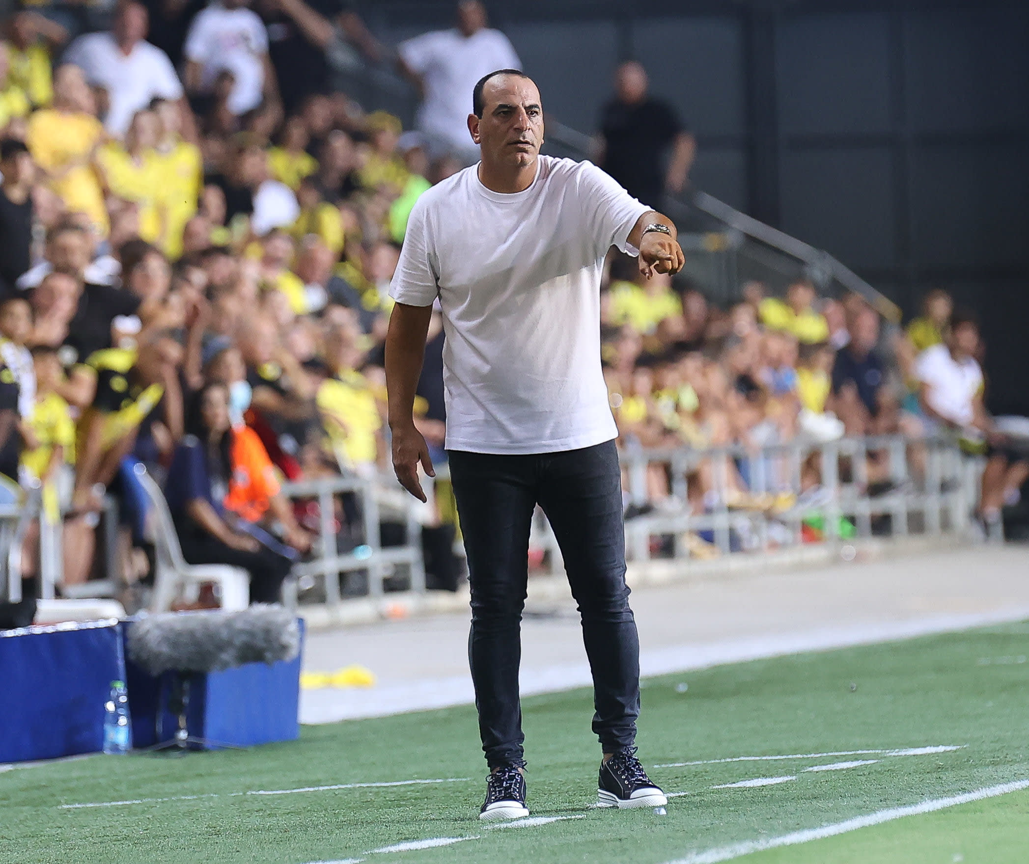 קובי רפואה, מאמן הפועל תל אביב