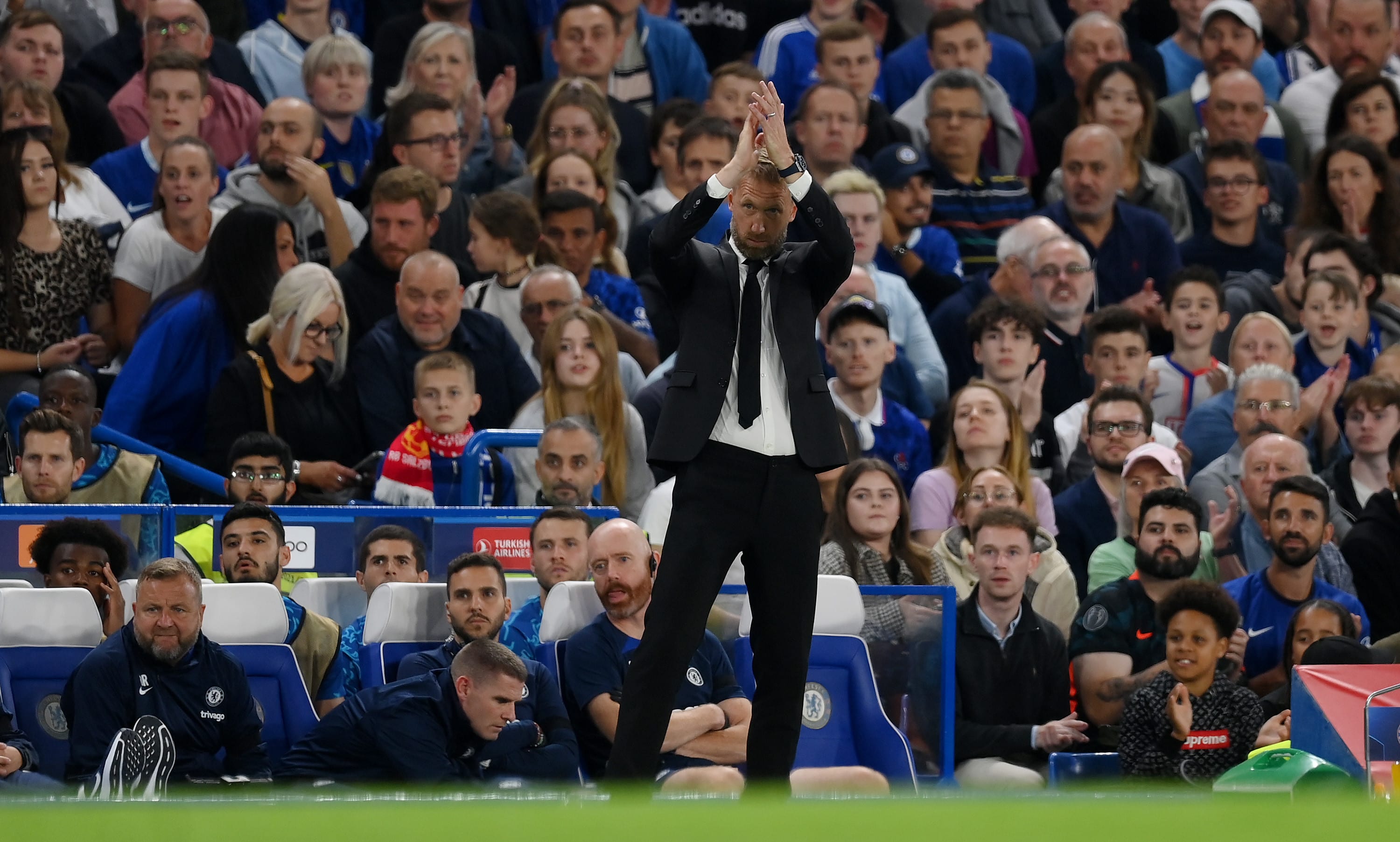 גרהאם פוטר, מאמן צ'לסי