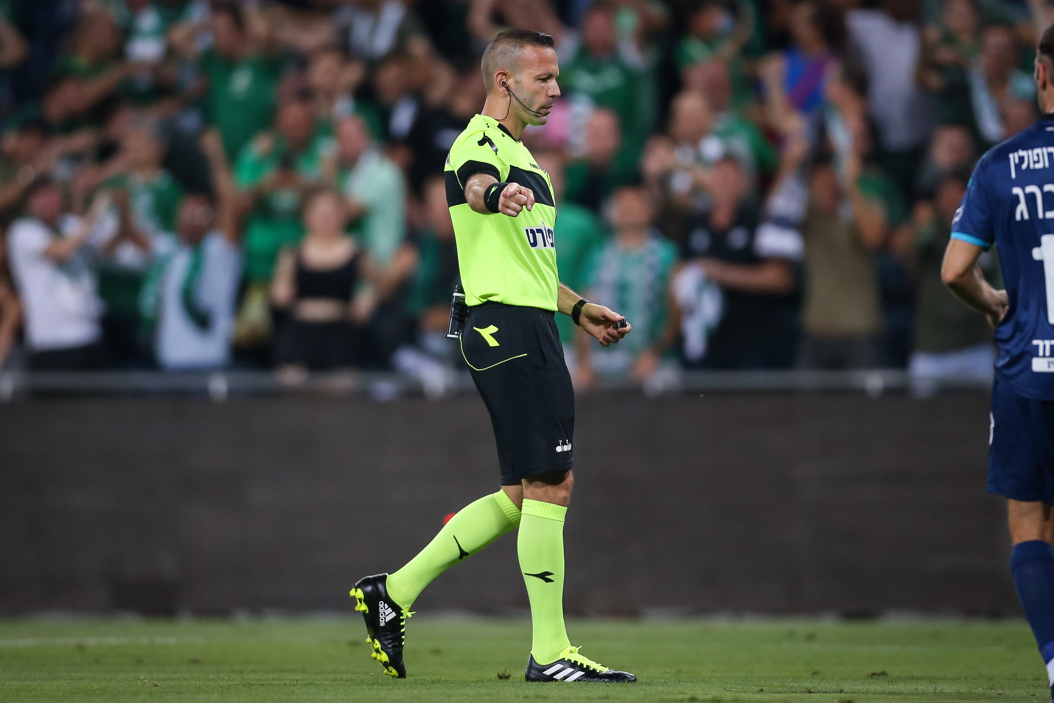 השופט אוראל גרינפלד