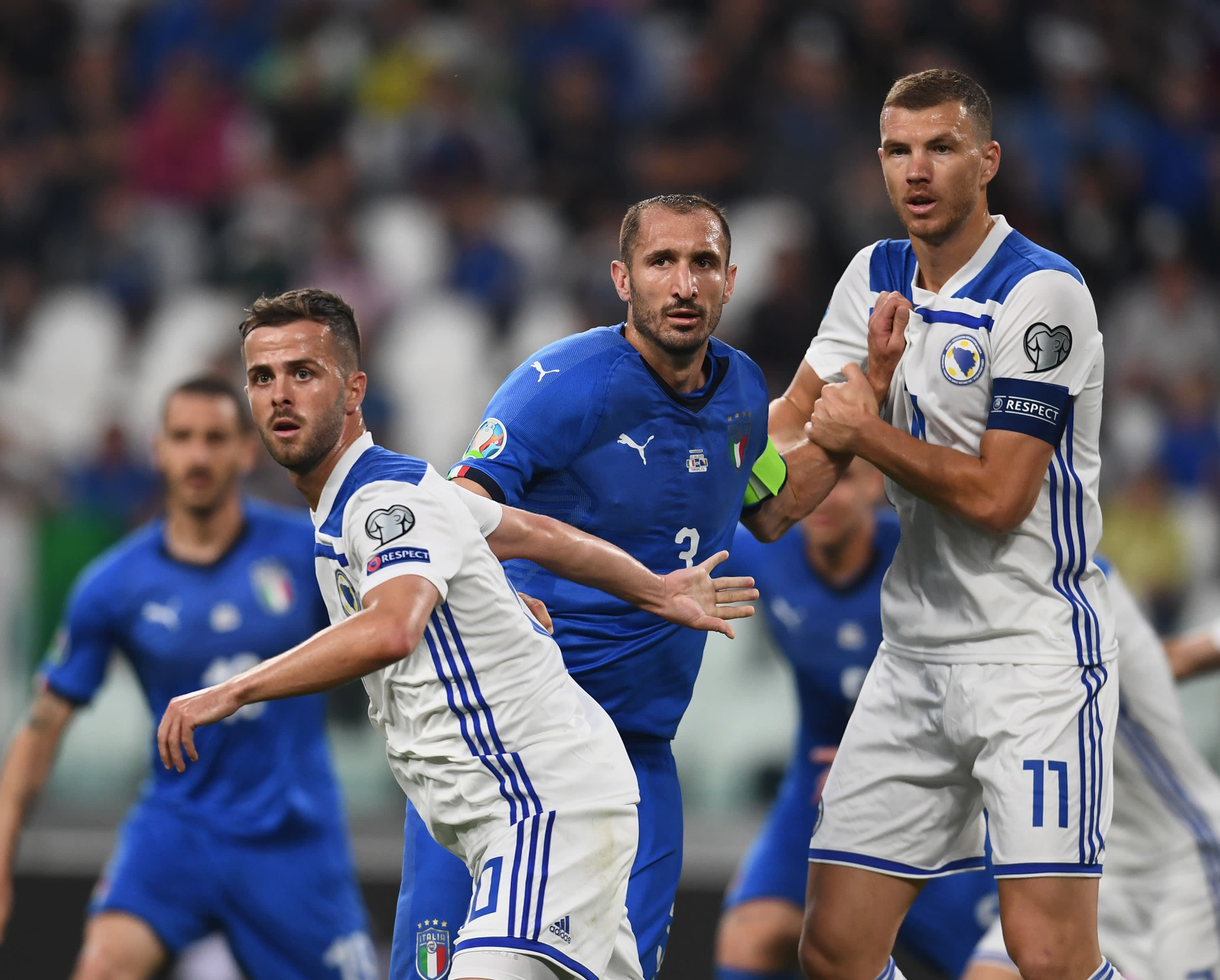 אדין דז'קו, מיראלם פיאניץ', שחקני נבחרת בוסניה