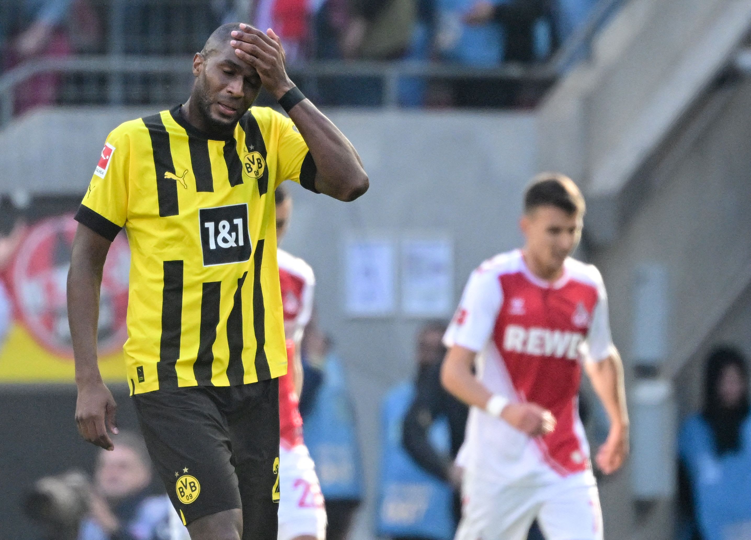 &#1513;&#1495;&#1511;&#1503; &#1489;&#1493;&#1512;&#1493;&#1505;&#1497;&#1492; &#1491;&#1493;&#1512;&#1496;&#1502;&#1493;&#1504;&#1491; &#1488;&#1504;&#1514;&#1493;&#1504;&#1497; &#1502;&#1493;&#1491;&#1505;&#1496;