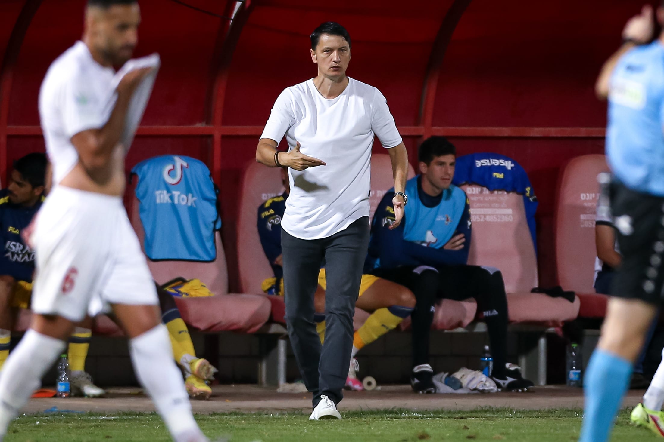 ולאדן איביץ' מאמן מכבי תל אביב