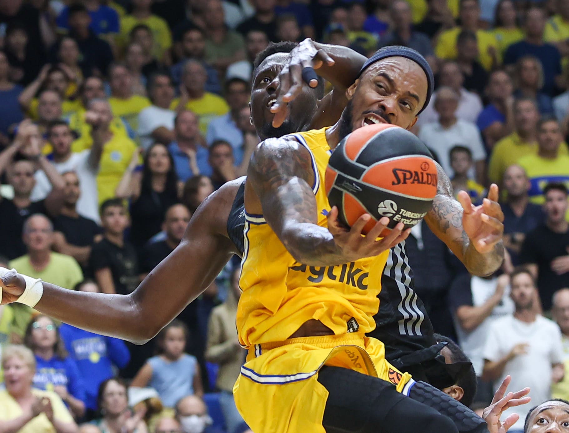 שחקן מכבי תל אביב לורנזו בראון