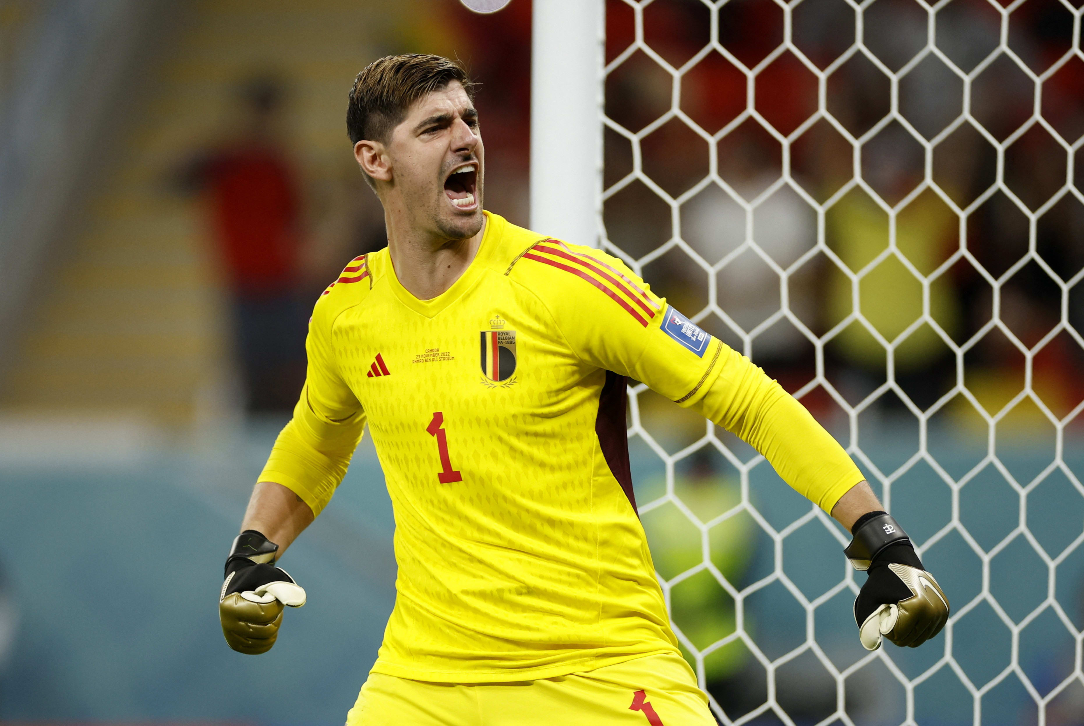 טיבו קורטואה, שוער נבחרת בלגיה