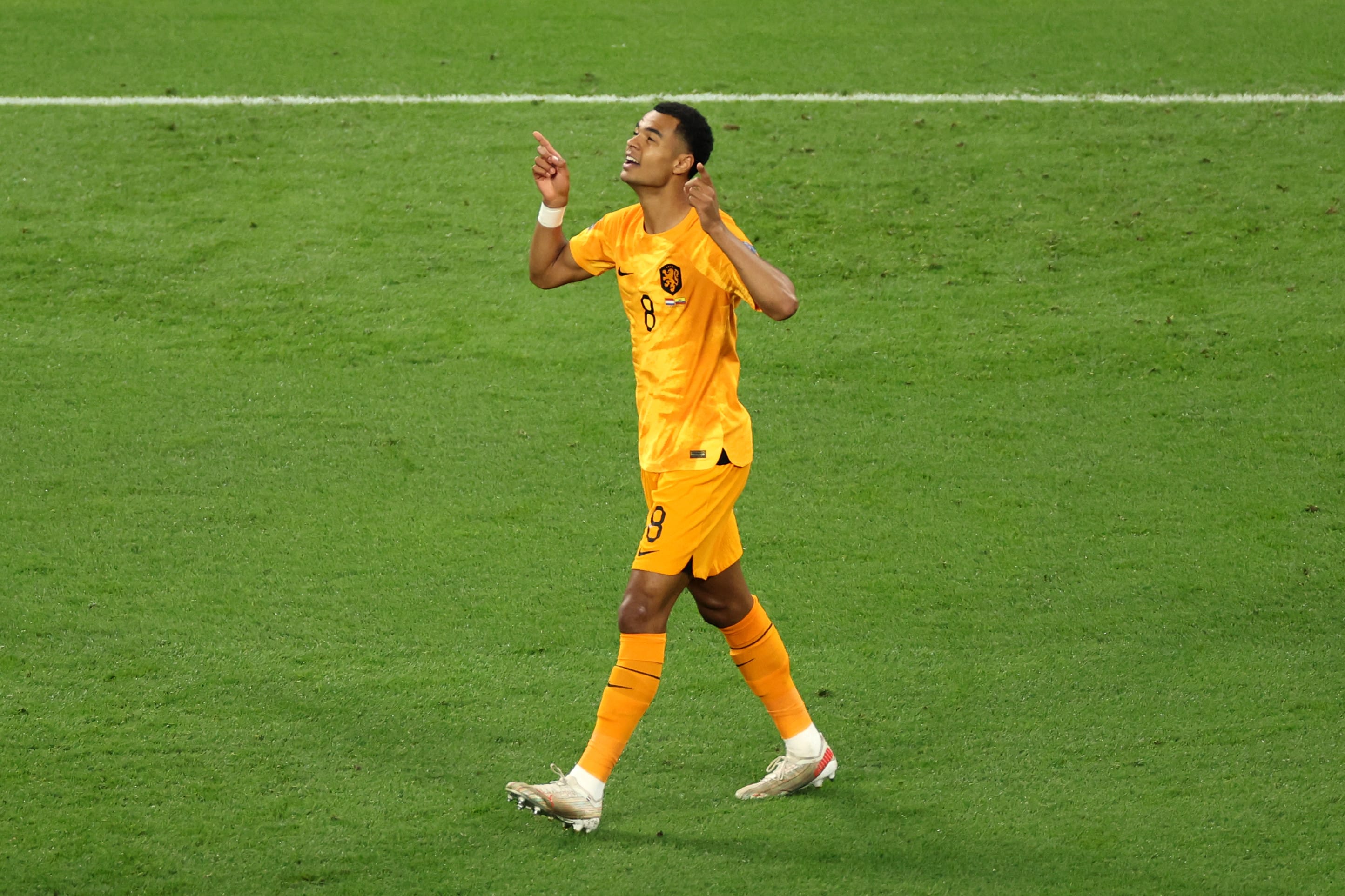 קודי גאקפו, נבחרת הולנד