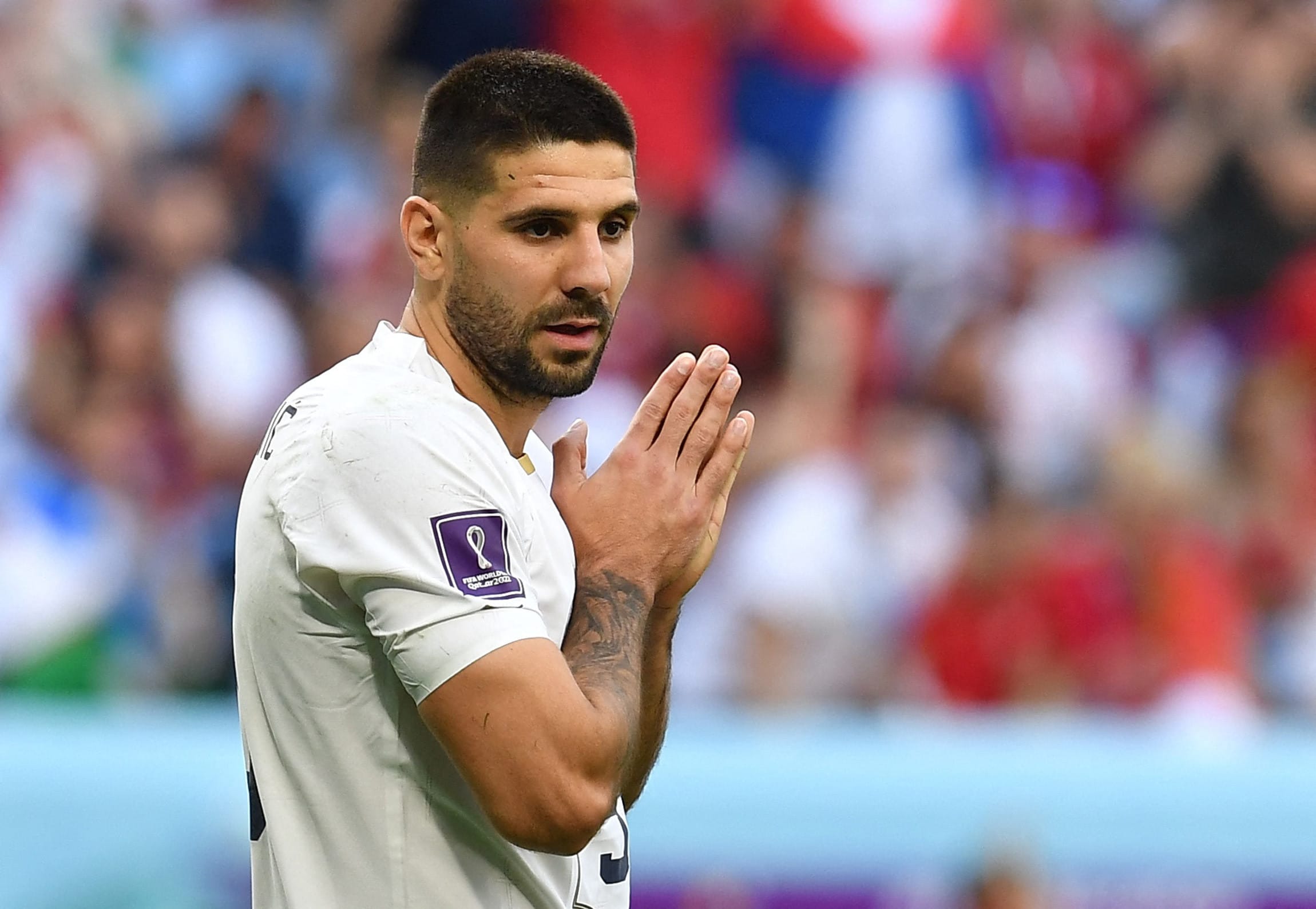 אלכסנדר מיטרוביץ', שחקן נבחרת סרביה