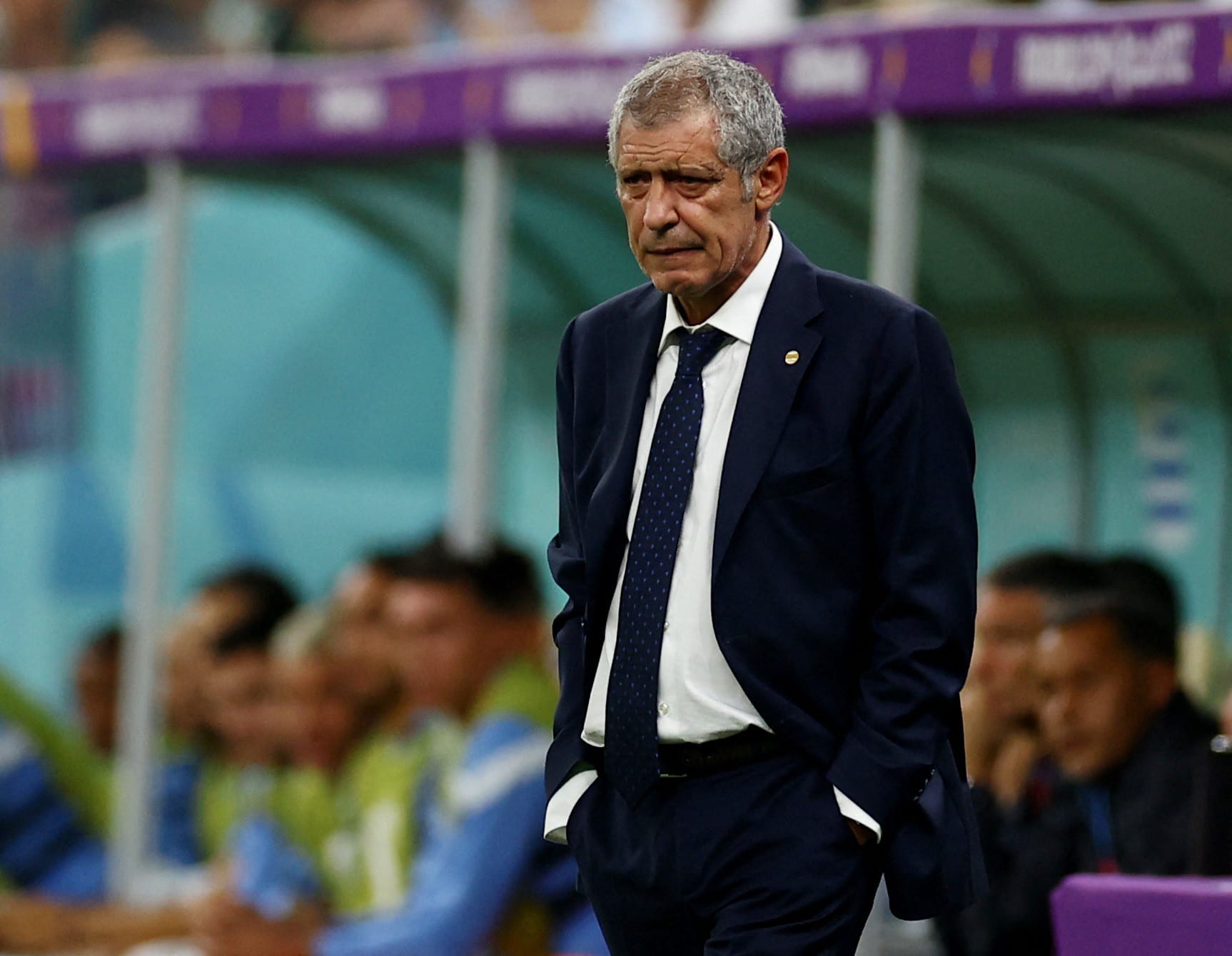 פרננדו סנטוס, מאמן נבחת פורטוגל