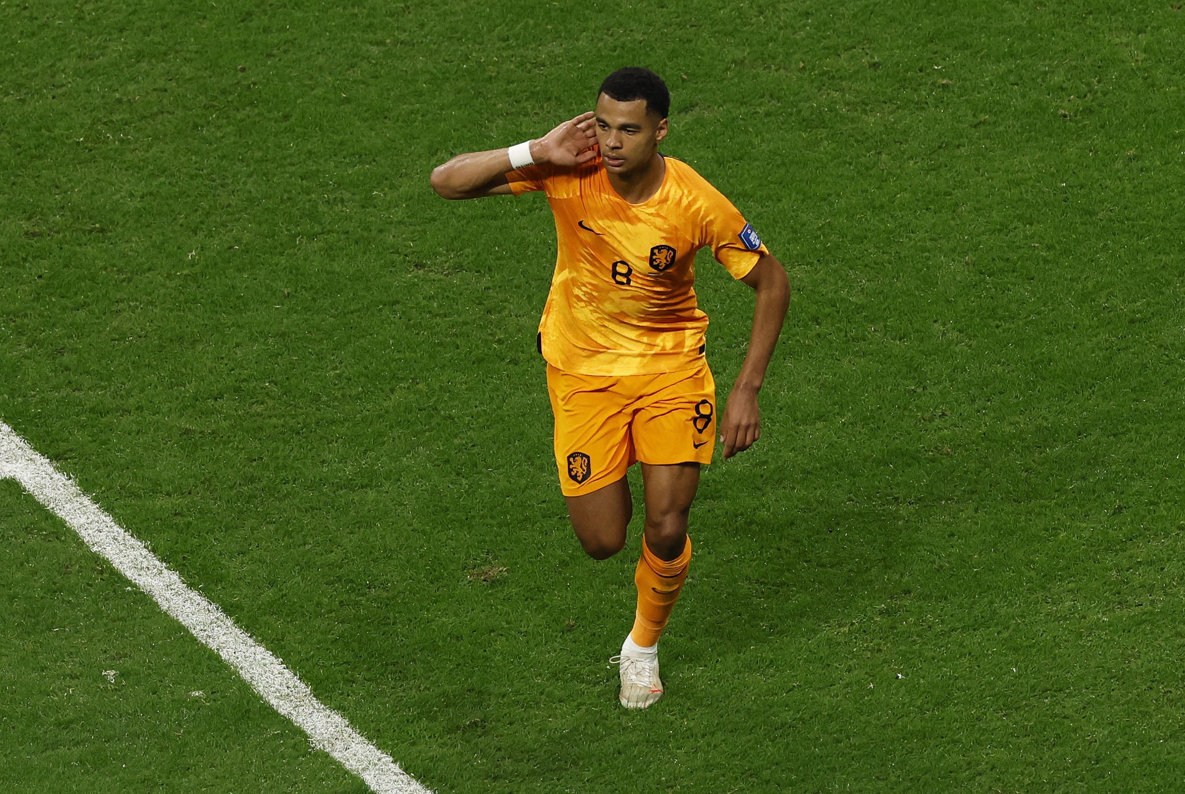 קודי גאקפו שחקן נבחרת הולנד חוגג שער