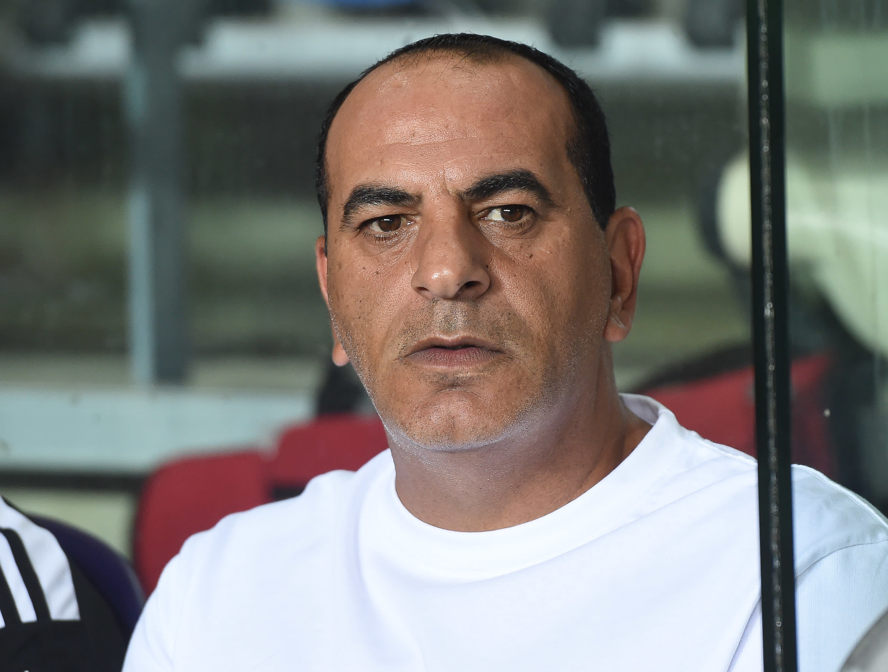 קובי רפואה, מאמן הפועל תל אביב