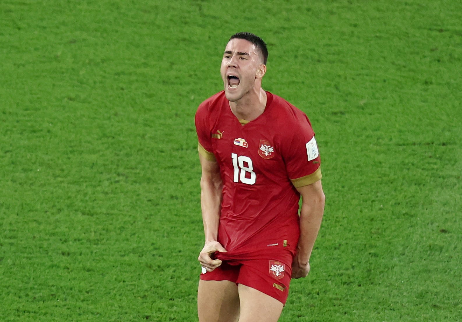 דושאן ולאחוביץ', חלוץ נבחרת סרביה