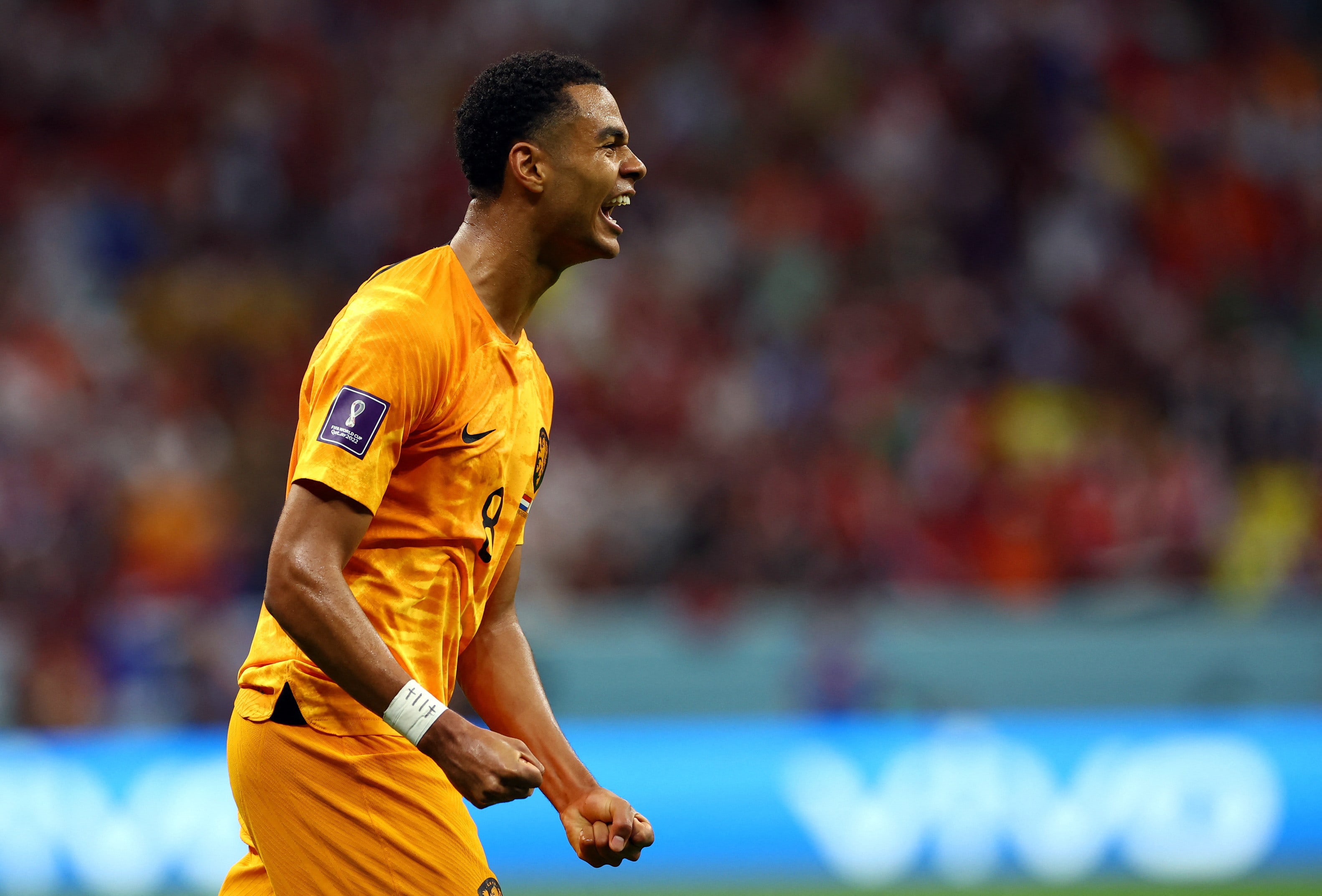 קודי גאקפו שחקן נבחרת הולנד חוגג שער