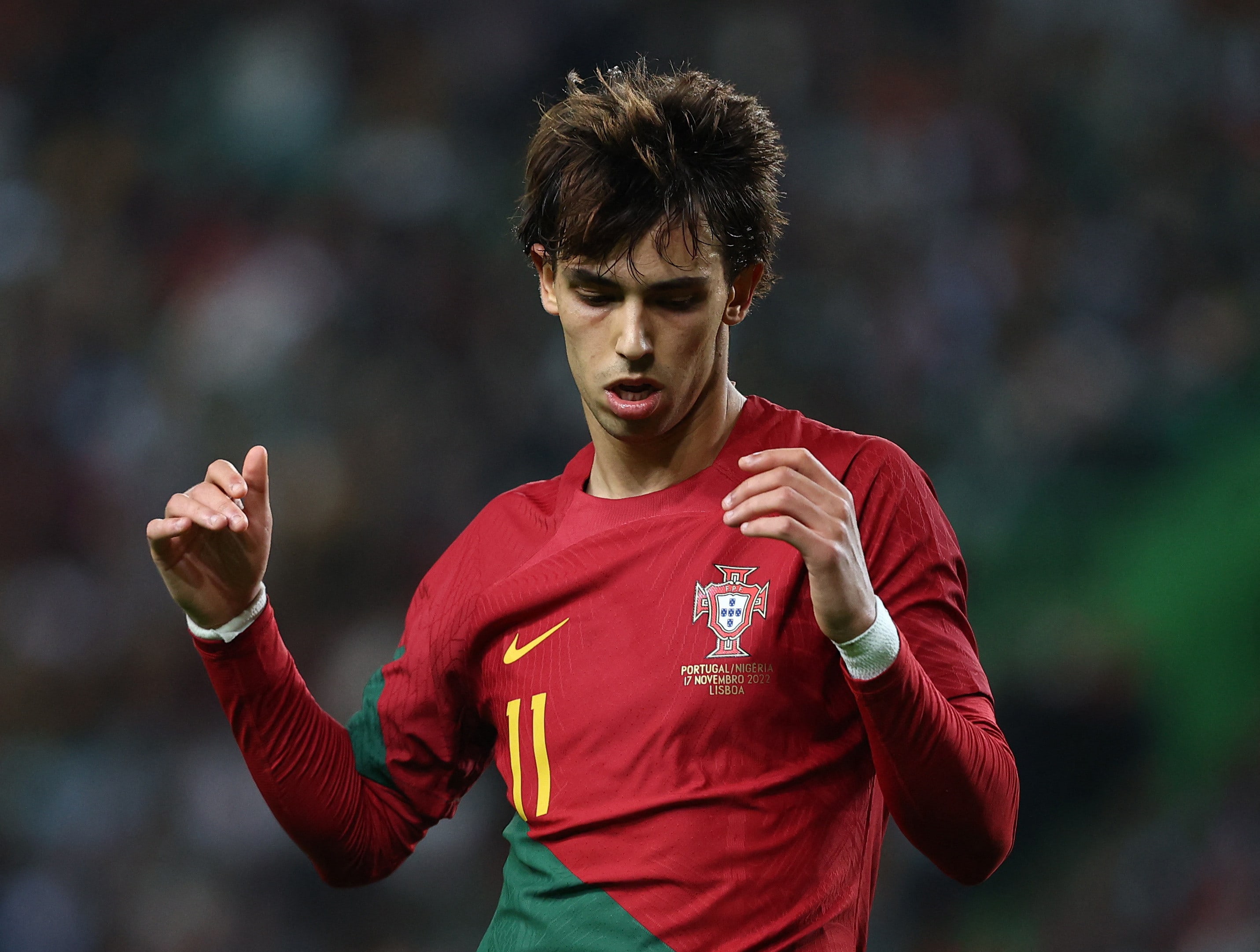 ז'ואאו פליקס, שחקן נבחרת פורטוגל
