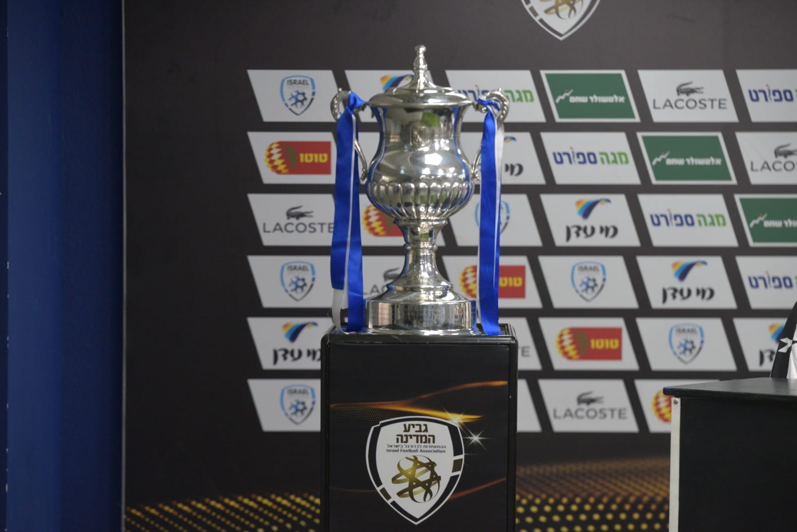 גביע המדינה