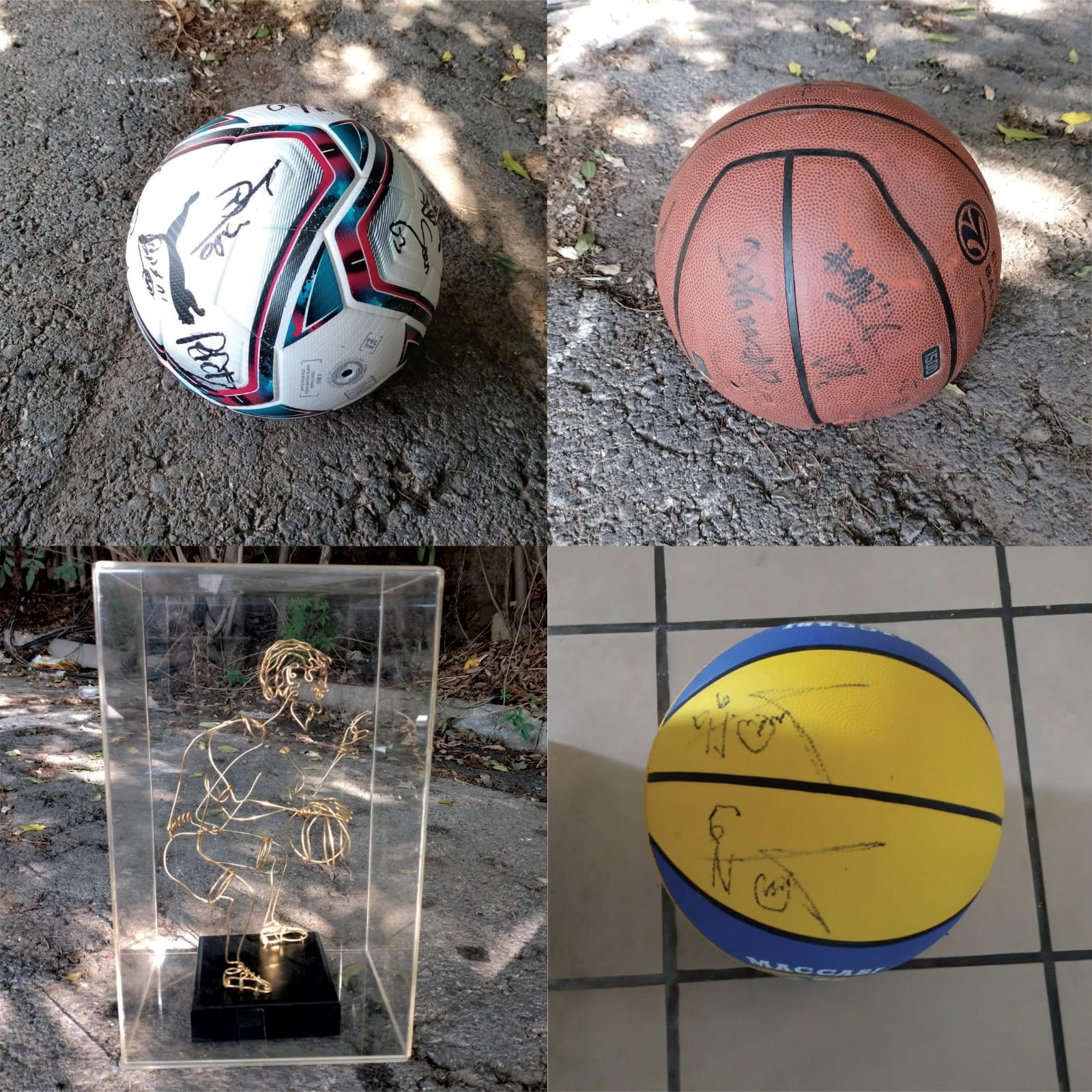 אנשי ספורט מובילים התגייסו למכירה פומבית לילדים חולים