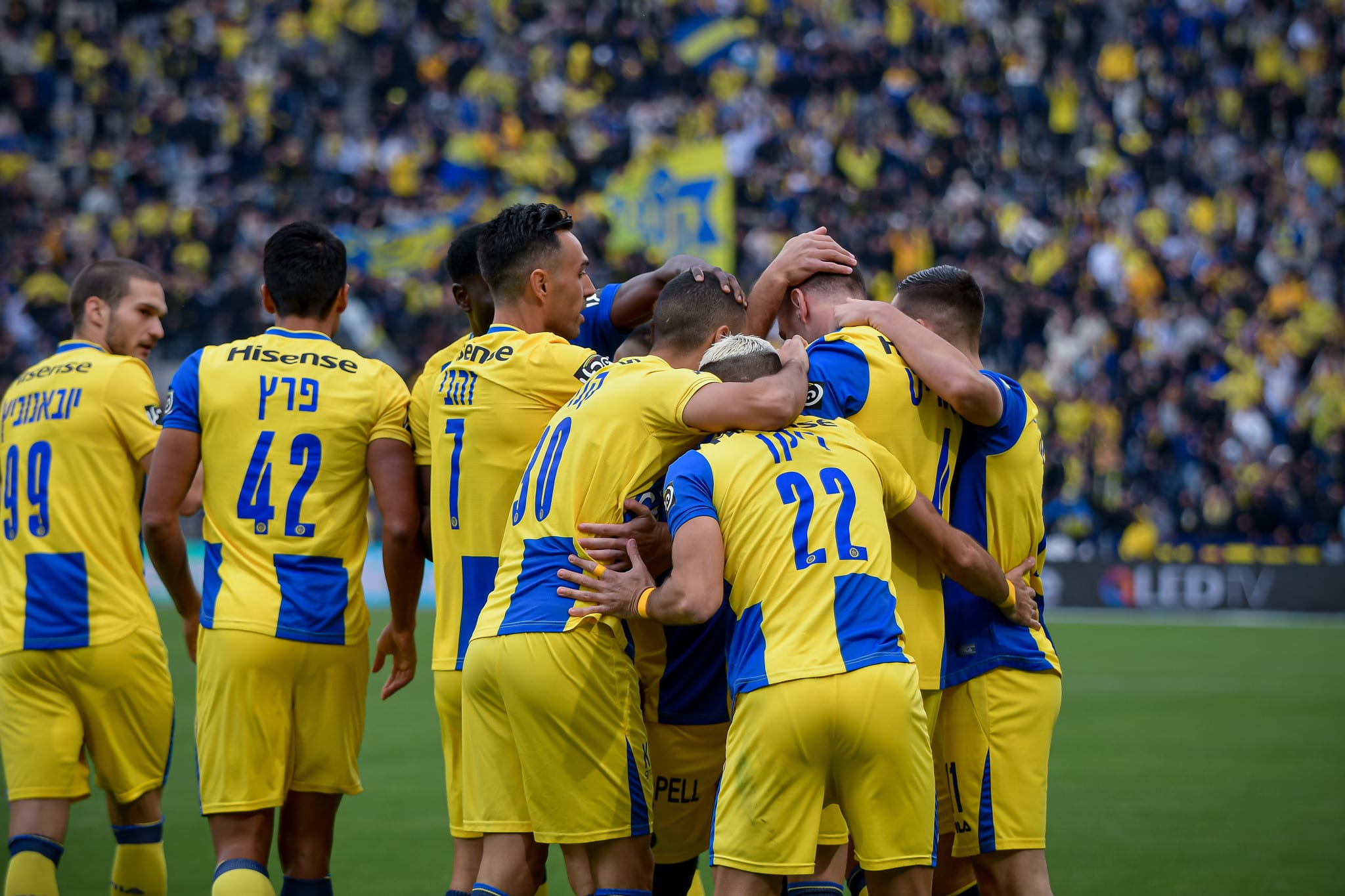 שחקני מכבי תל אביב חוגגים