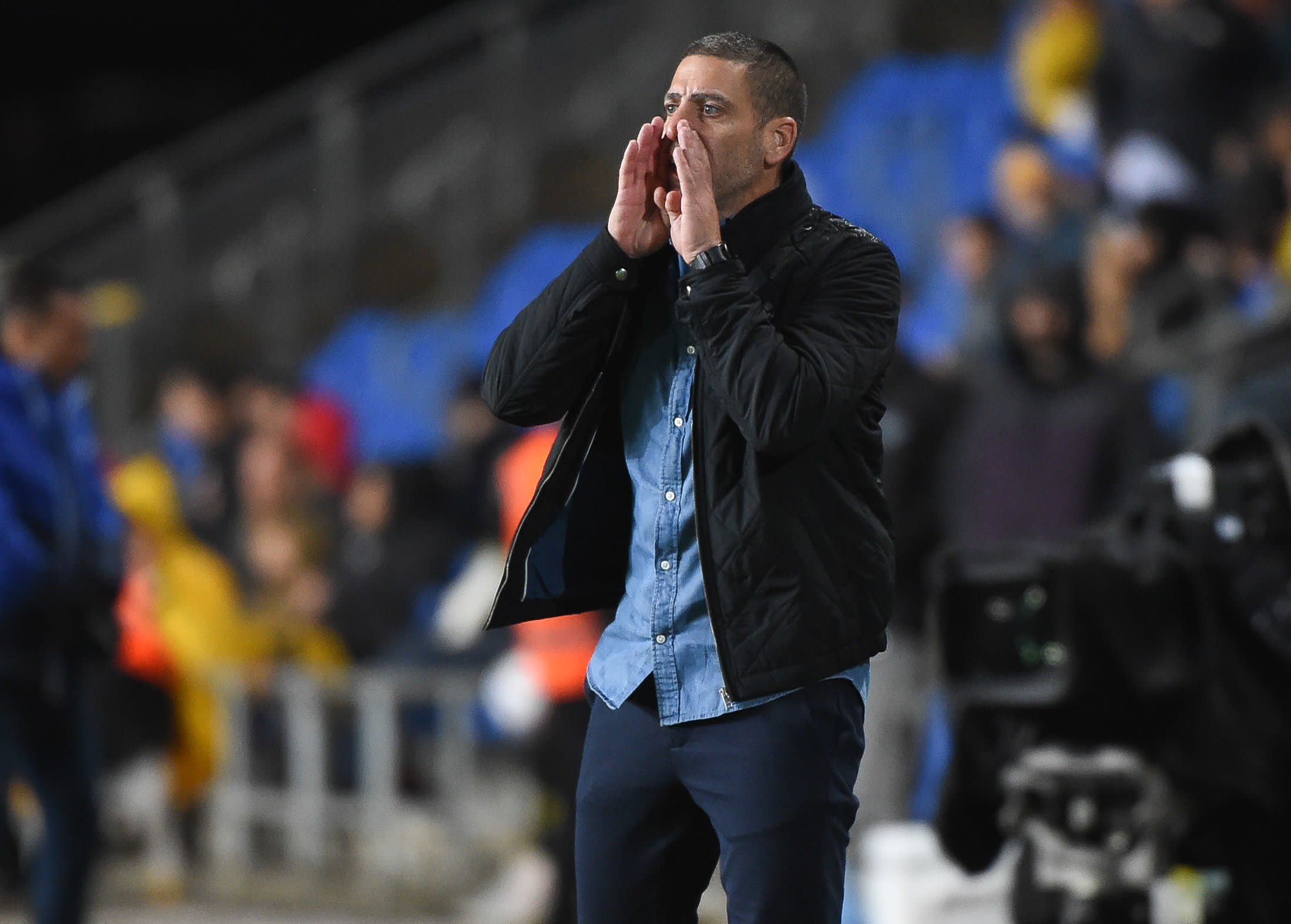 רן קוז'וך, מאמן מכבי נתניה