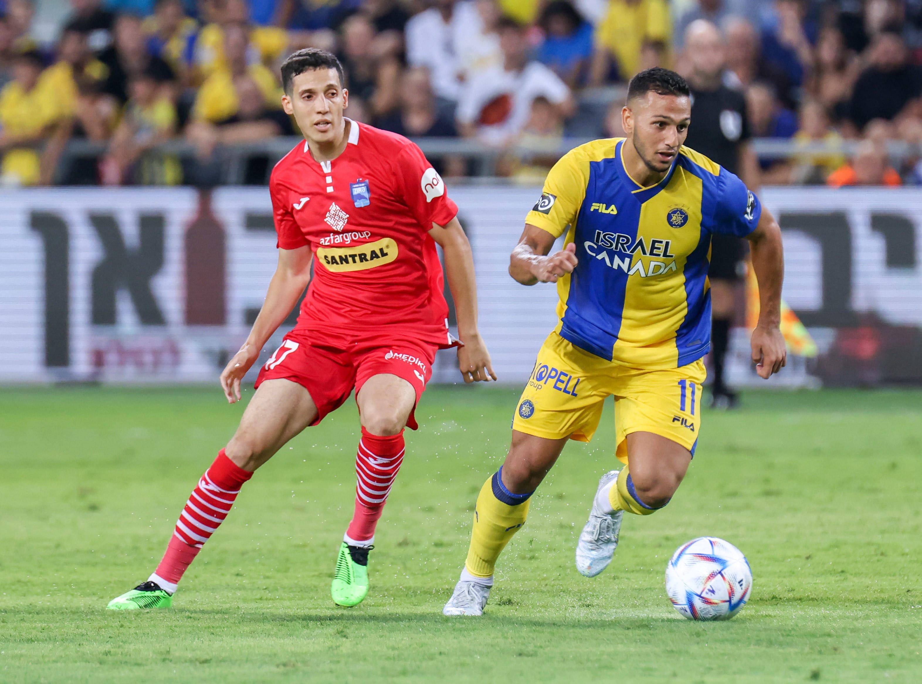 שחקן מכבי תל אביב אילון אלמוג, מול זירה