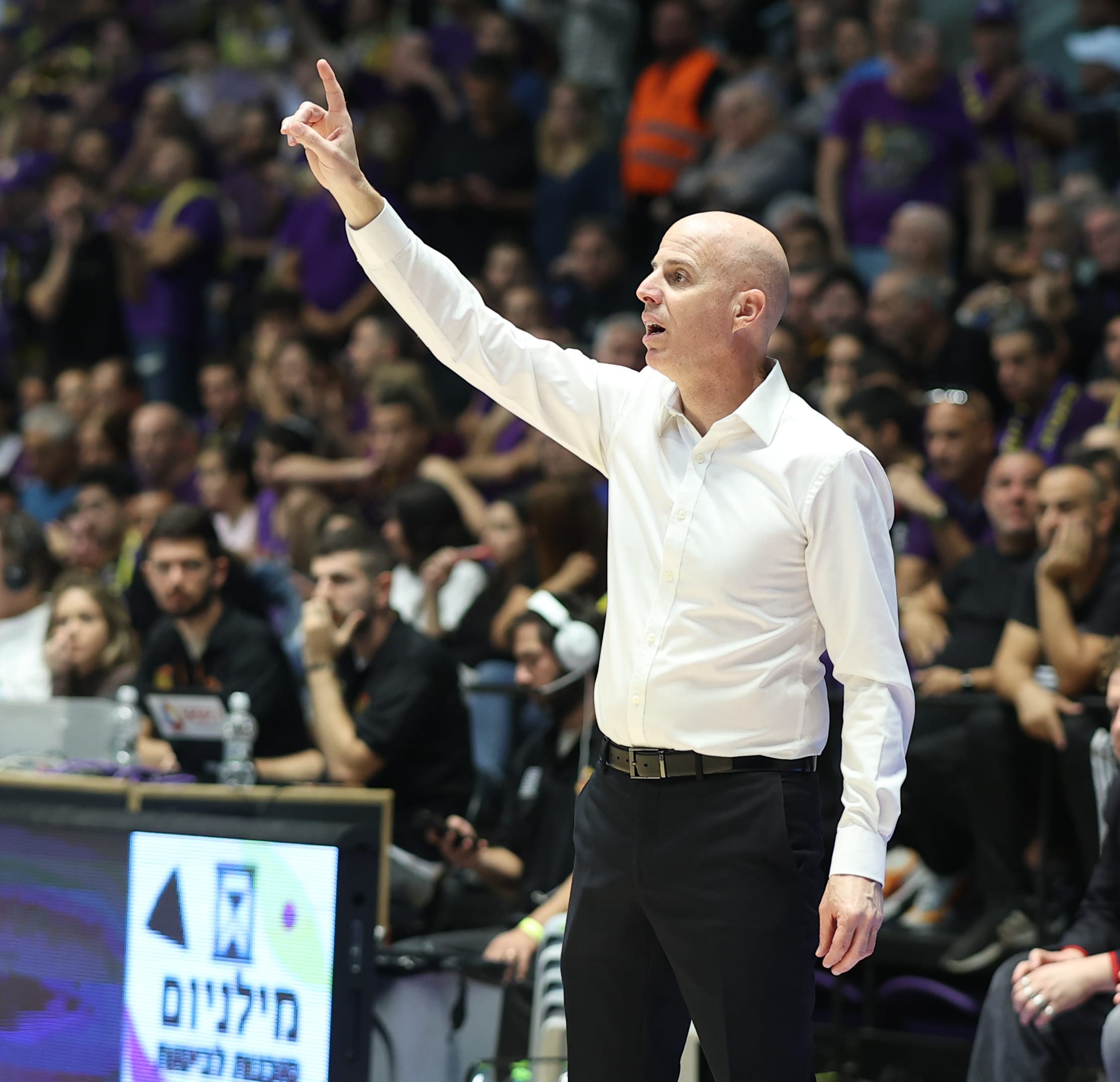 דני פרנקו, מאמן הפועל תל אביב