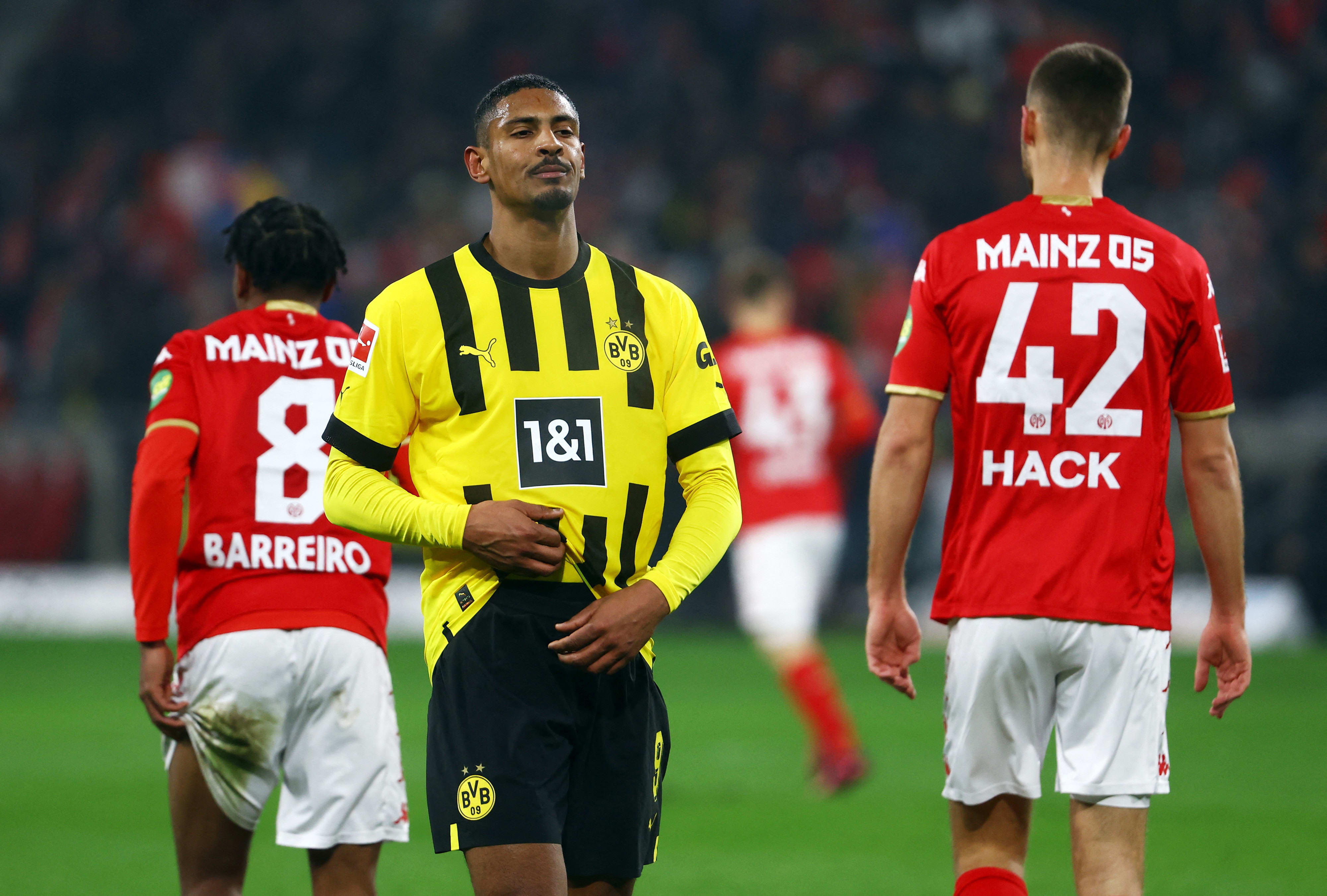 סבסטיאן האלר, בורוסיה דורטמונד