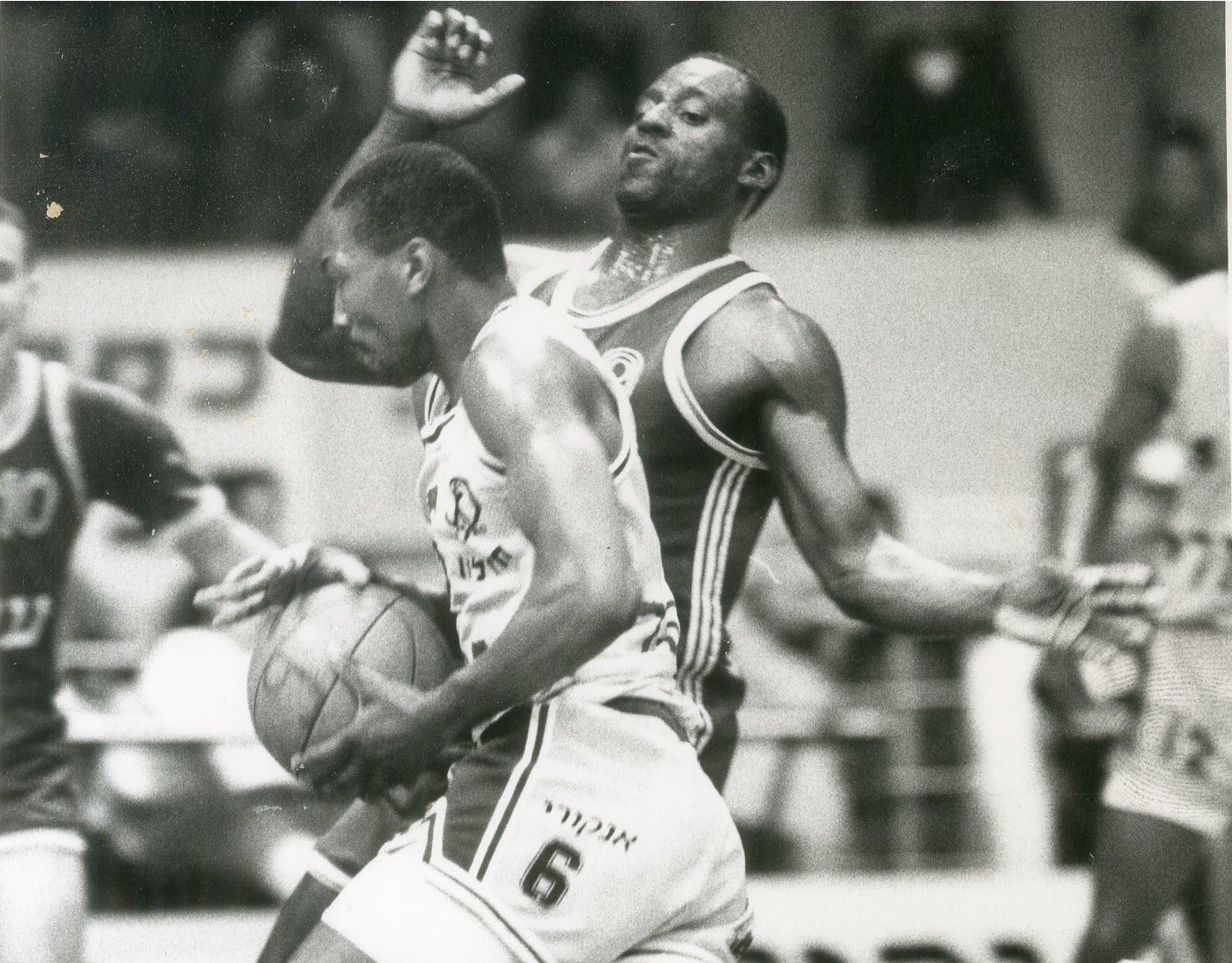 טרי פייגינס