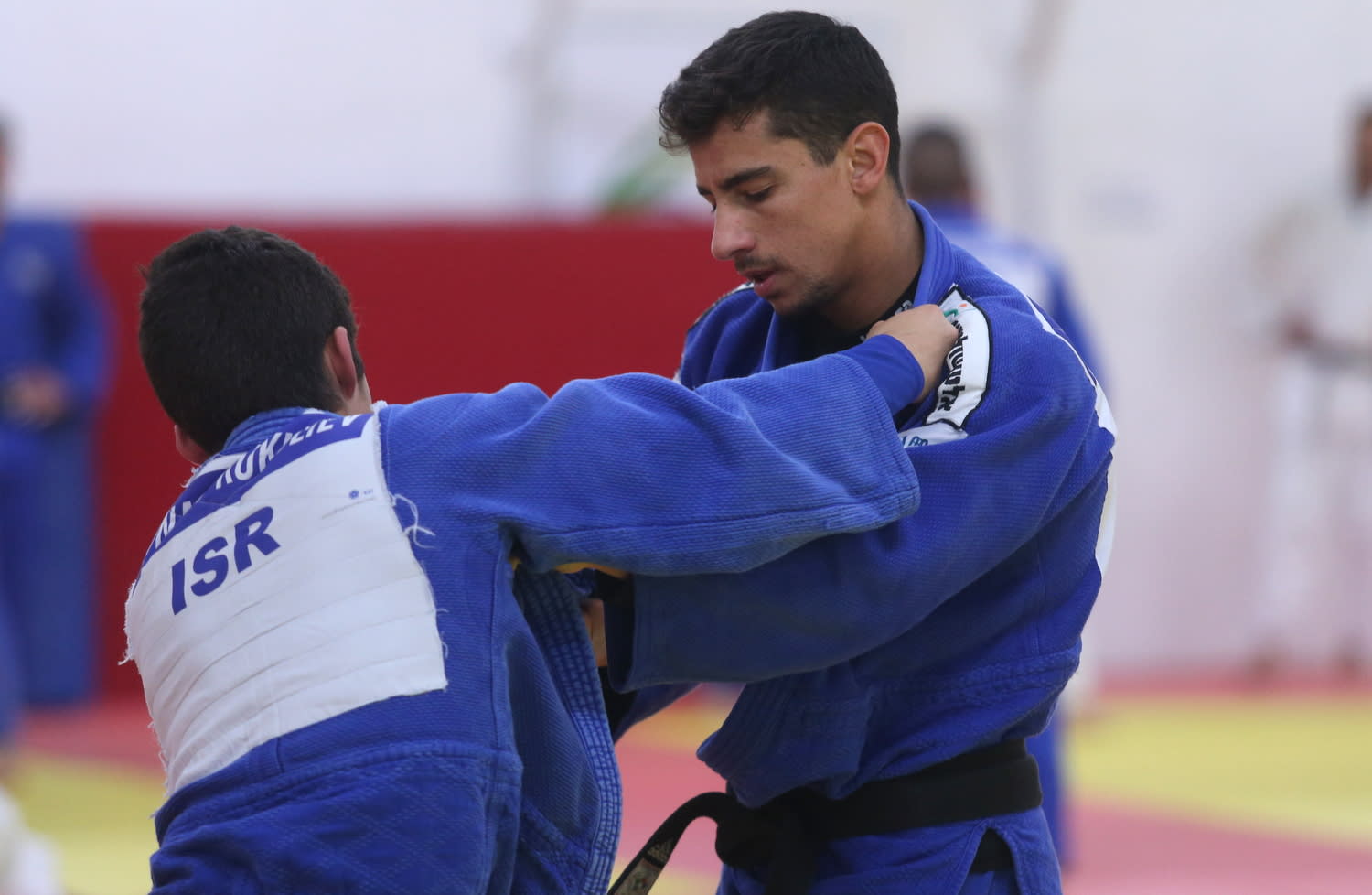 הג'ודוקא טל פליקר