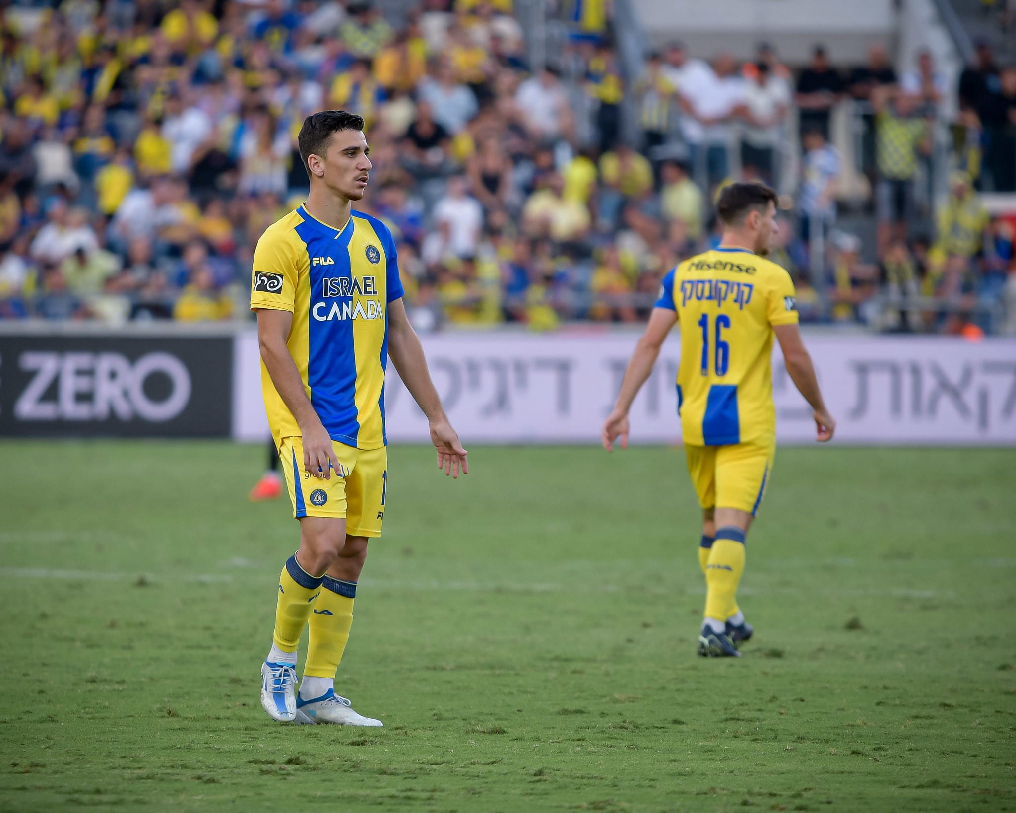 דן ביטון, שחקן מכבי תל אביב