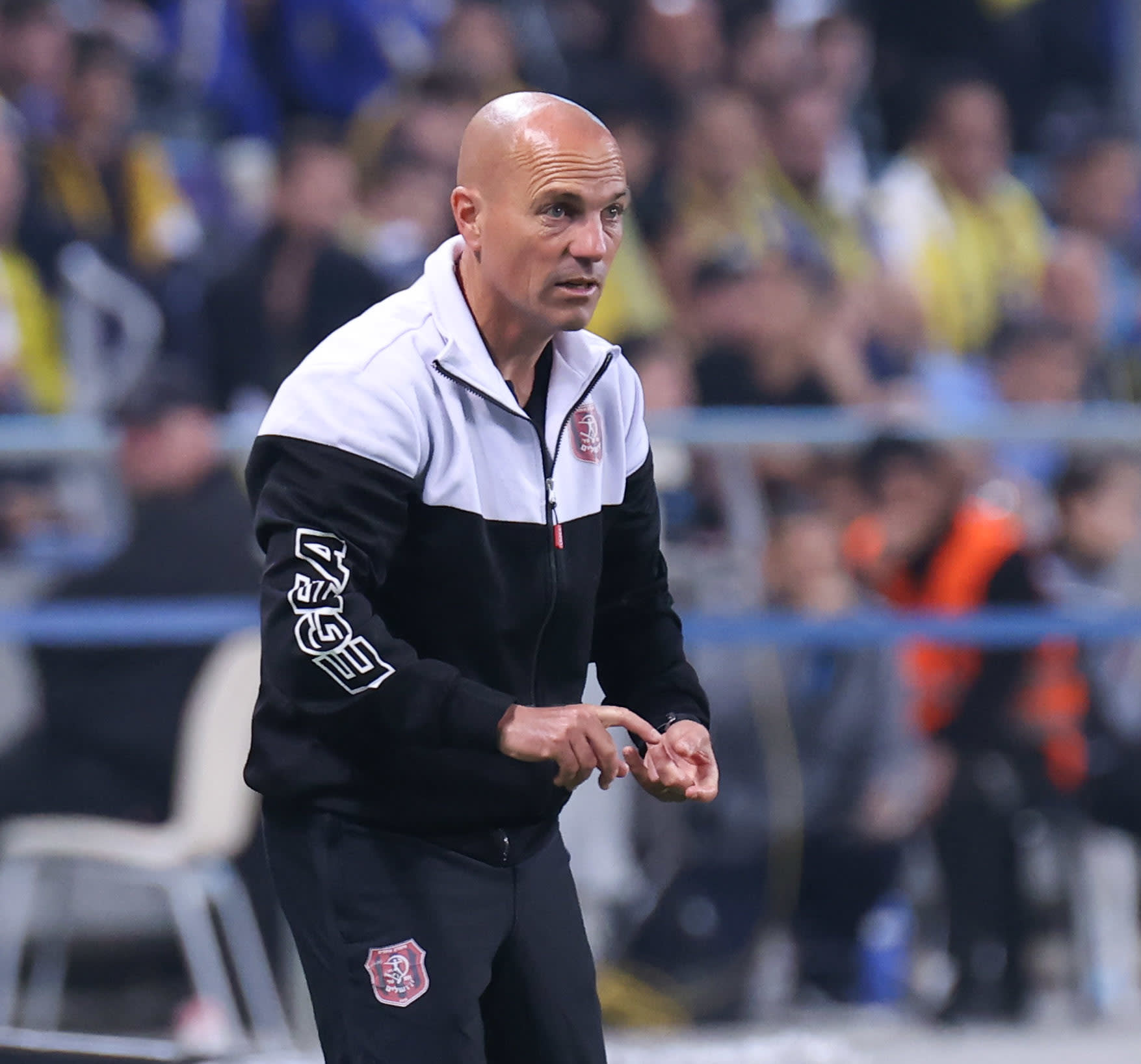 זיו אריה מאמן הפועל ירושלים