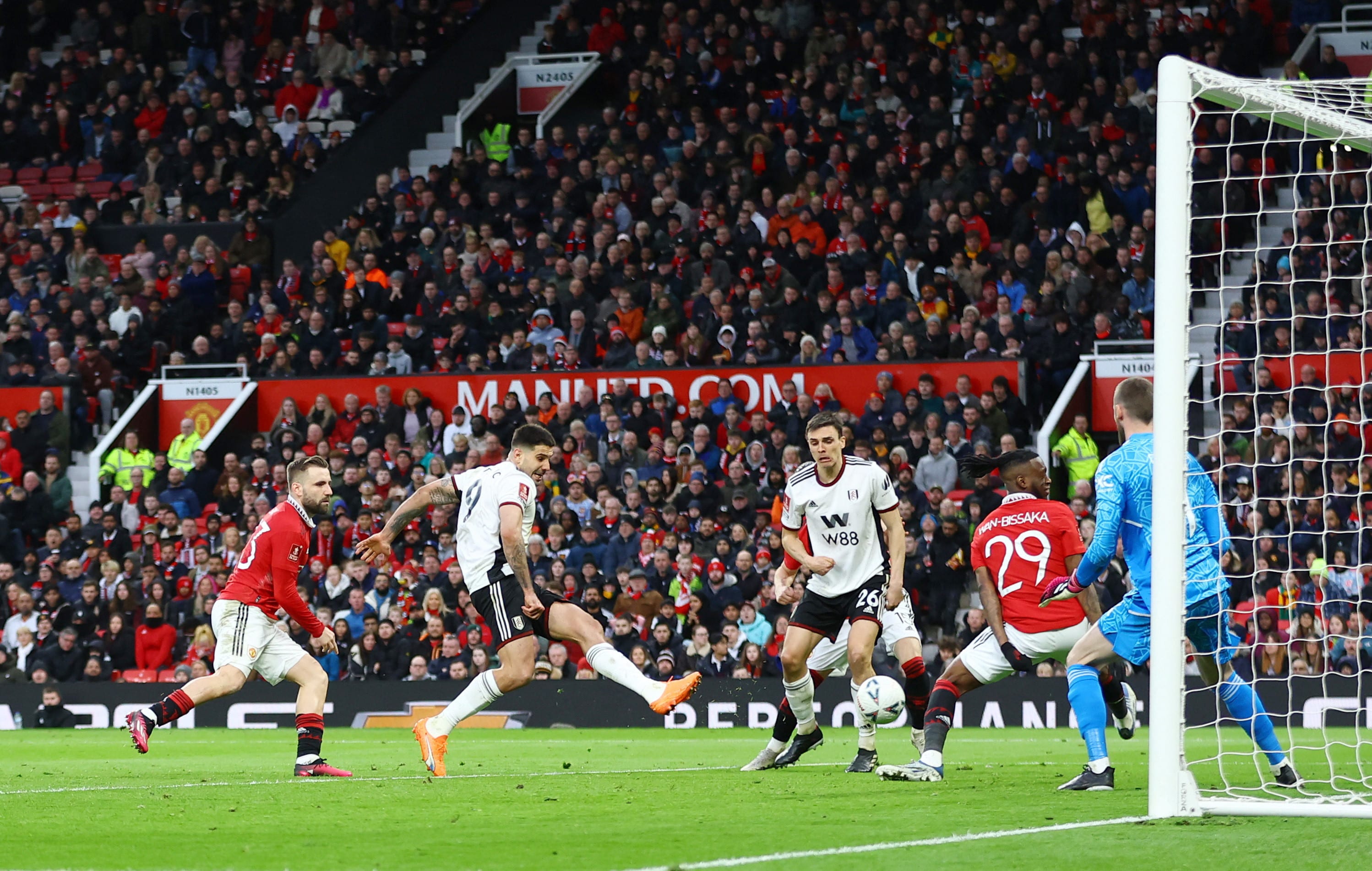 אלכסנדר מיטרוביץ' פולהאם