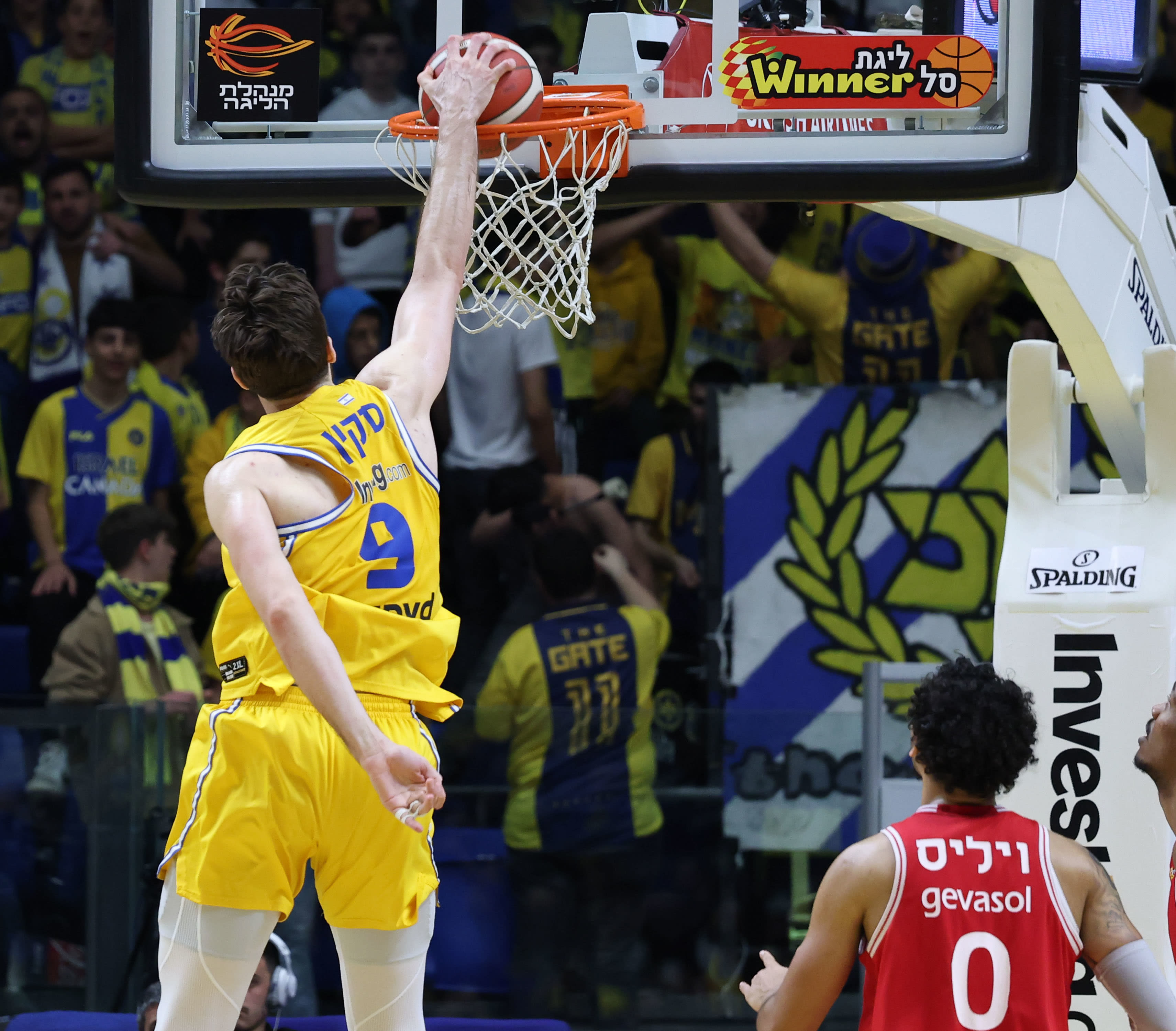 שחקן מכבי תל אביב רומן סורקין