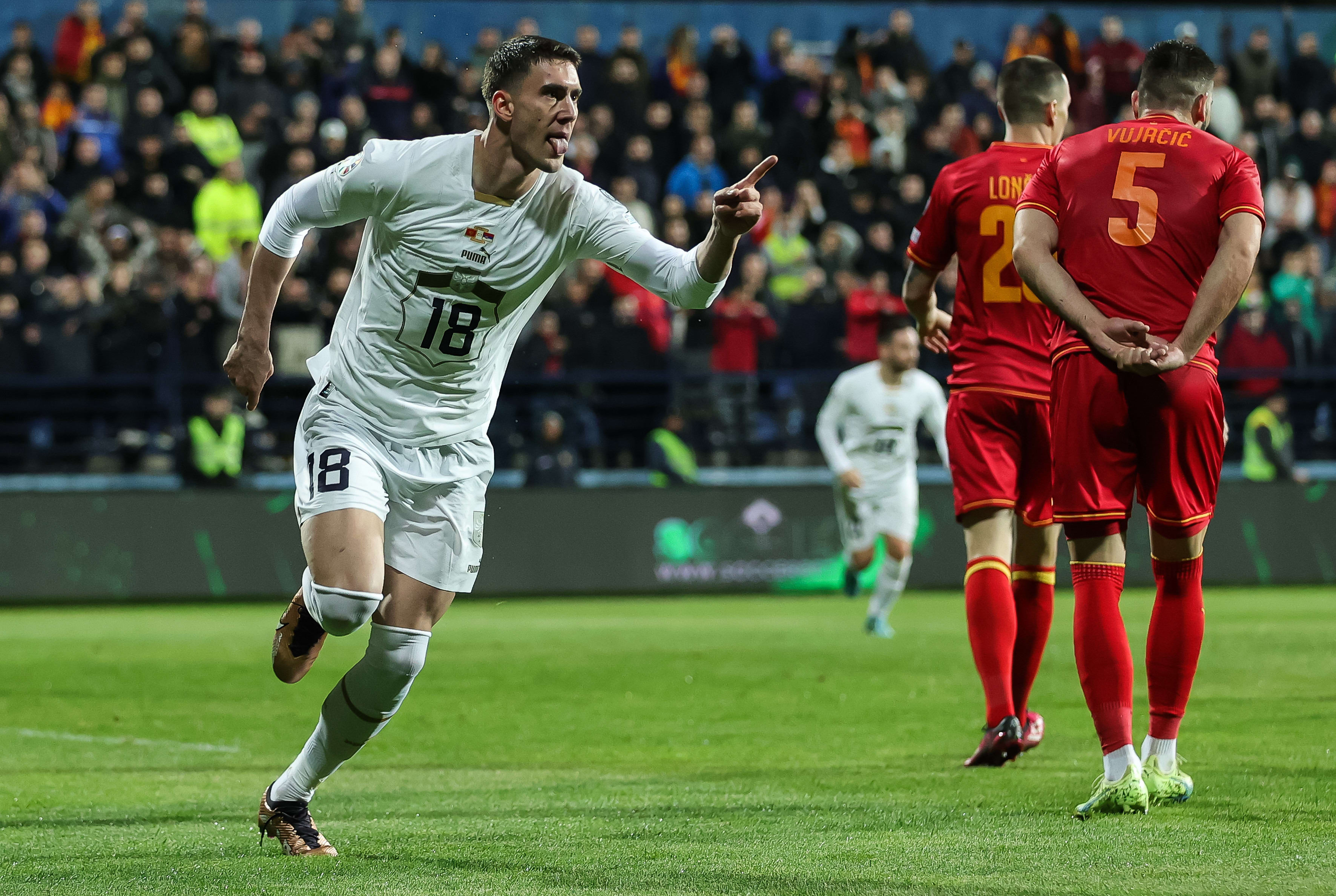 דושאן ולאחוביץ', שחקן נבחרת סרביה חוגג