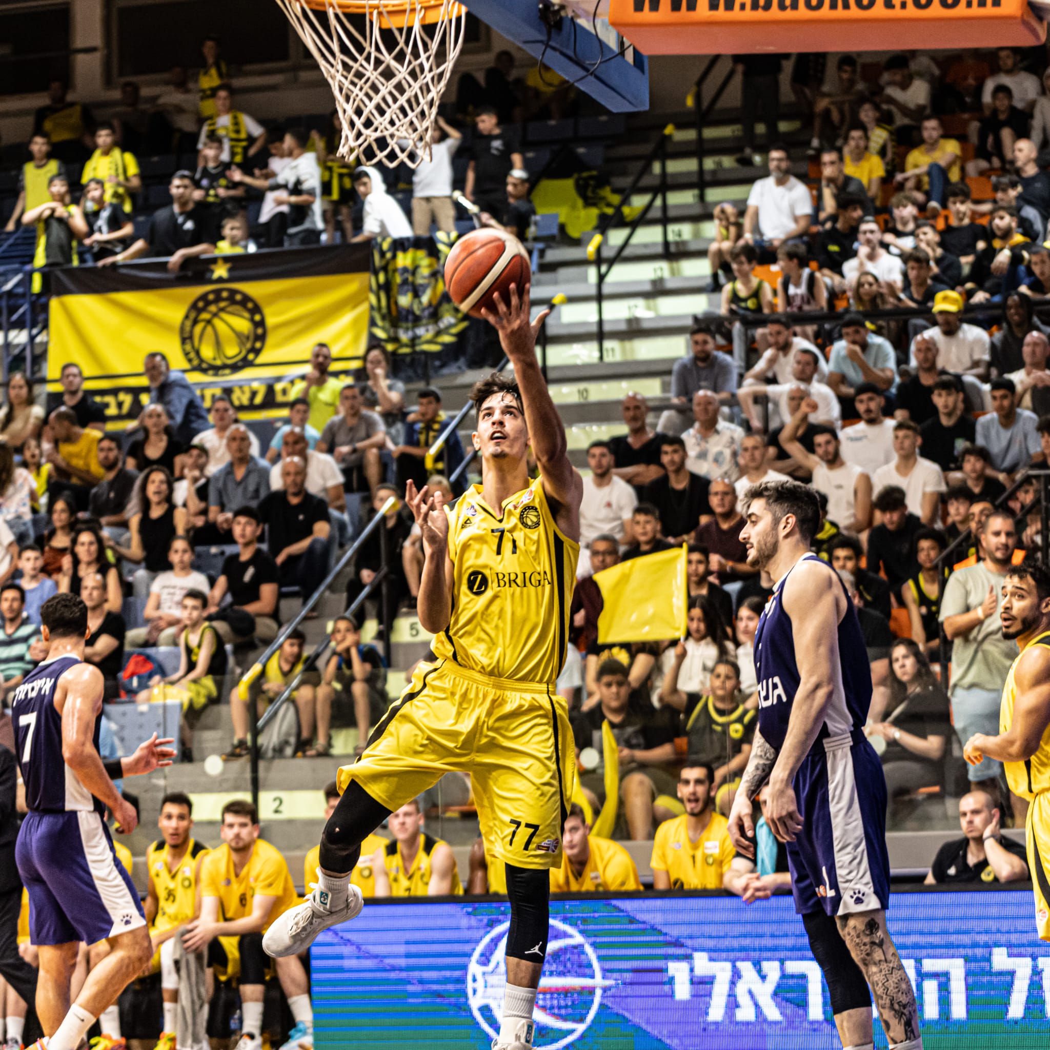 בן שרף שחקן אליצור נתניה