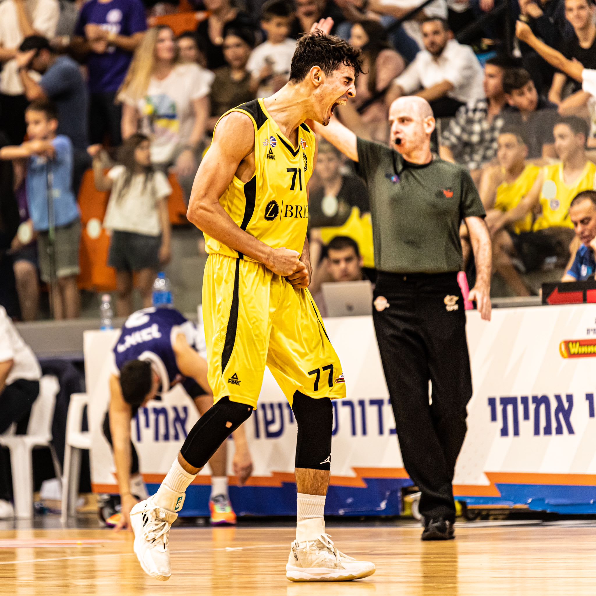 בן שרף שחקן אליצור נתניה