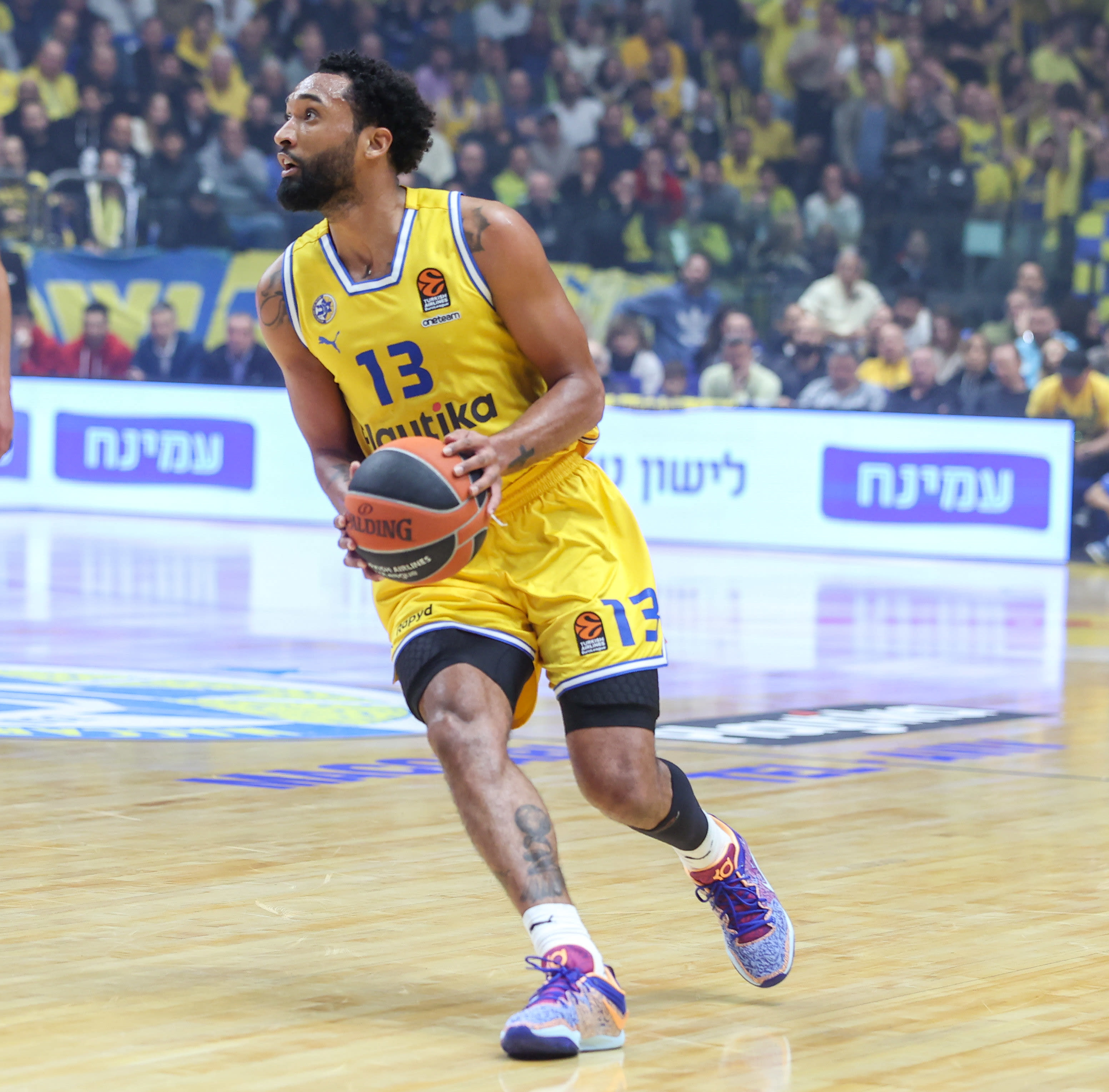 דארון היליארד, מכבי תל אביב