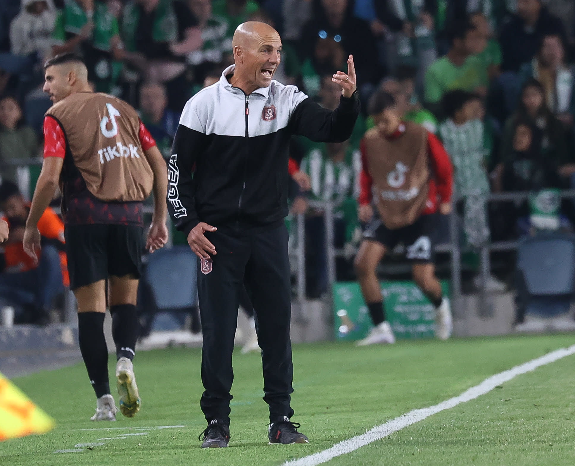 זיו אריה מאמן הפועל ירושלים