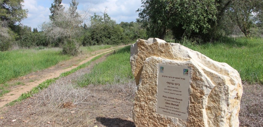 ג'ינו ברטלי מונצח יער חרובית