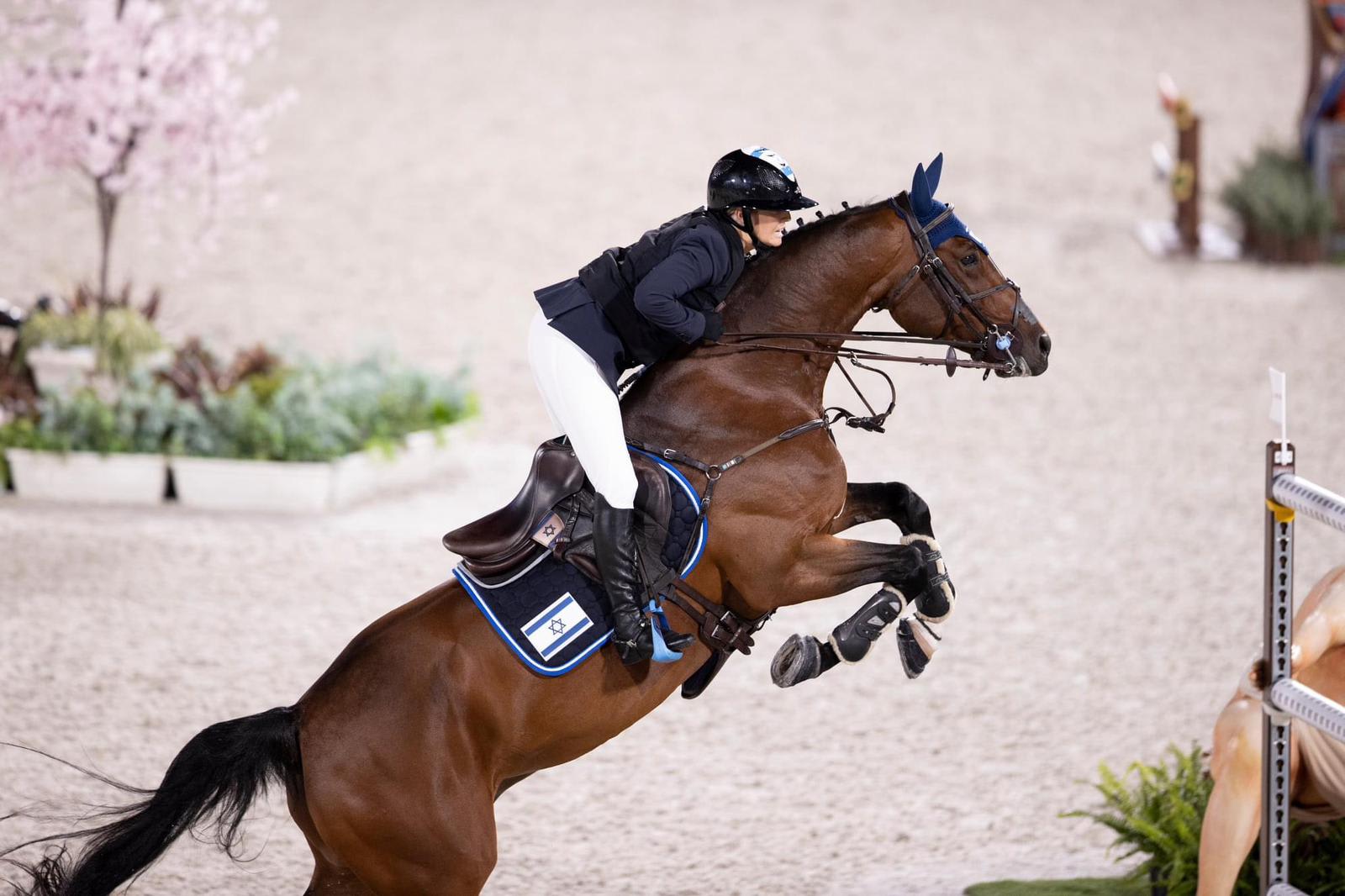 אשלי בונד עם דונטלו