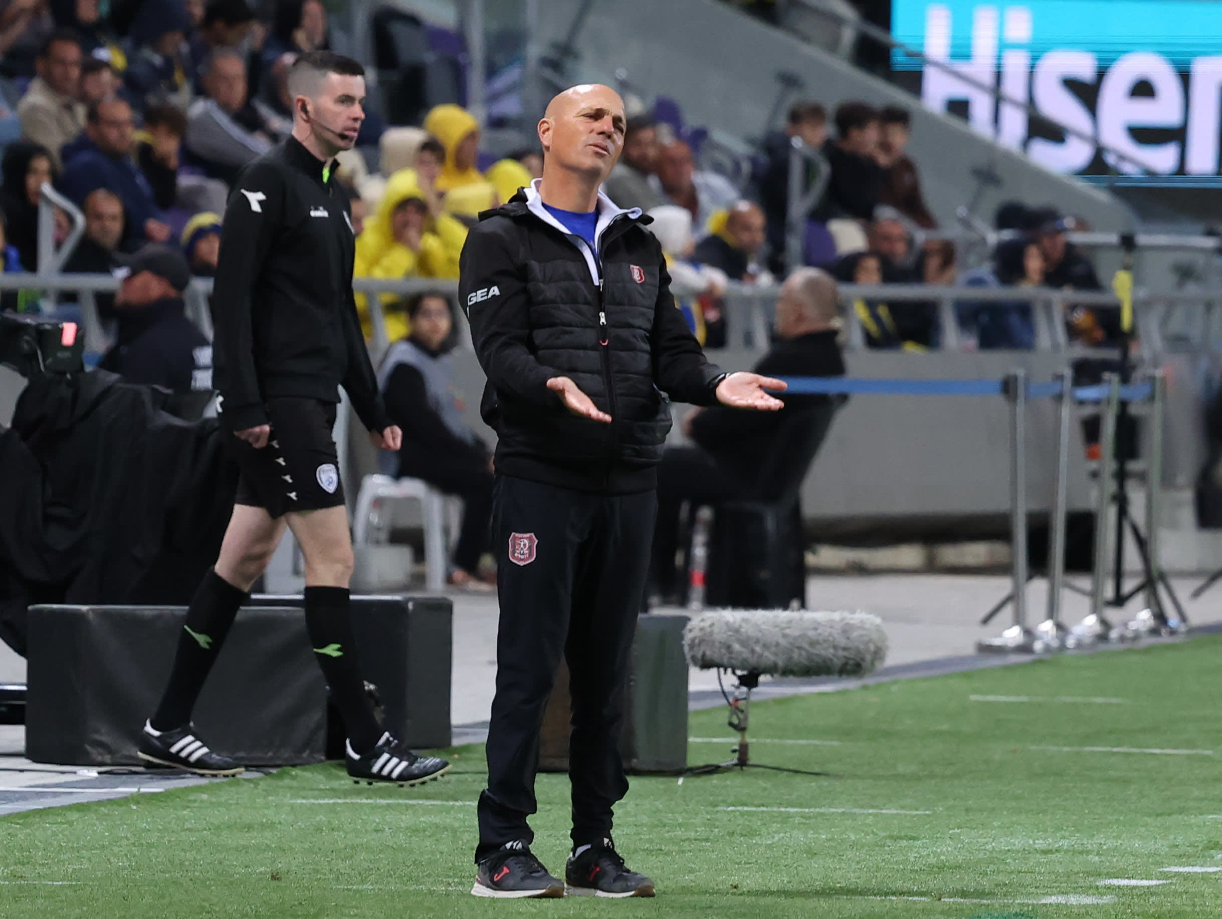 זיו אריה, מאמן הפועל ירושלים