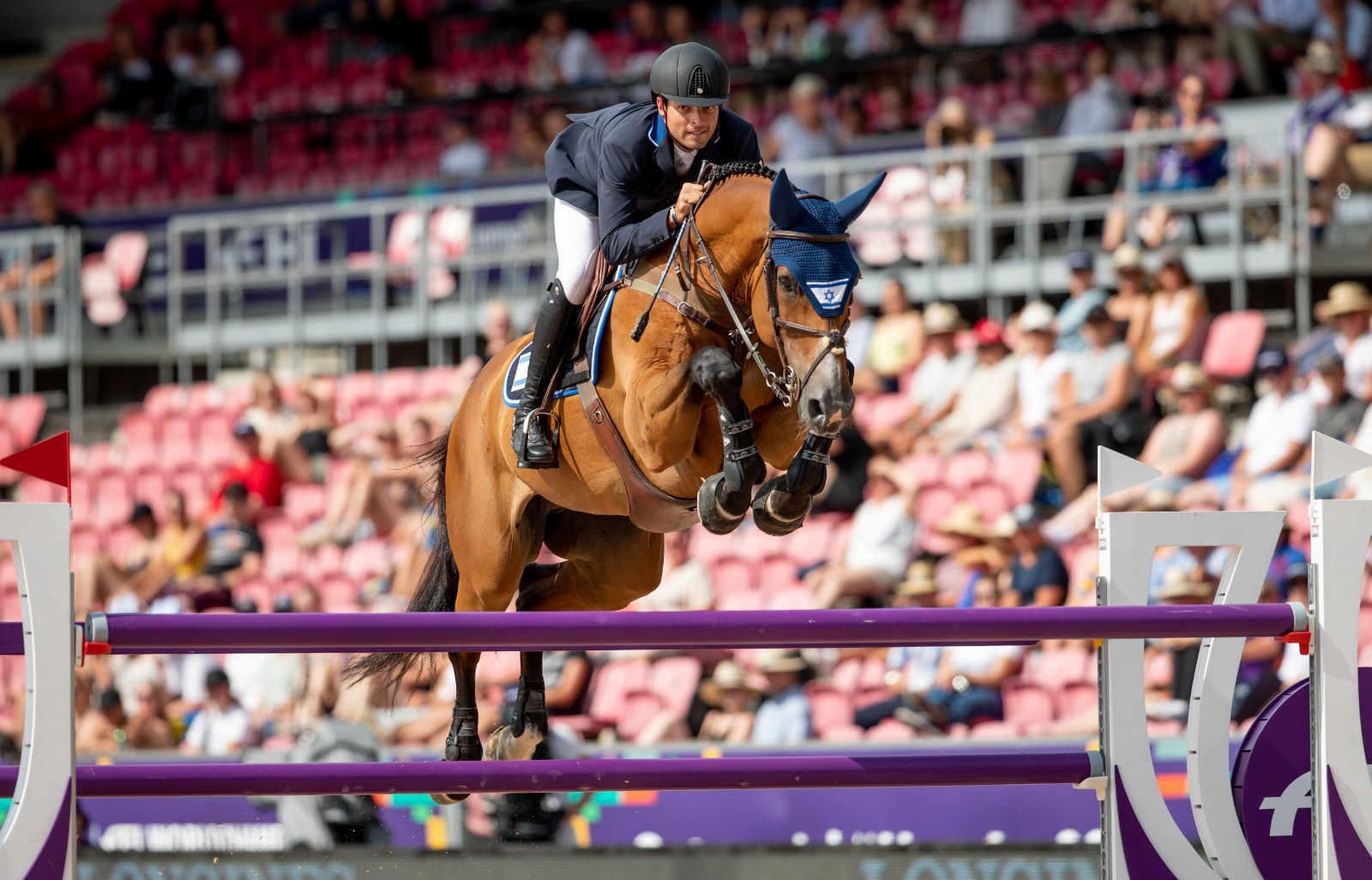 דניאל בלומן