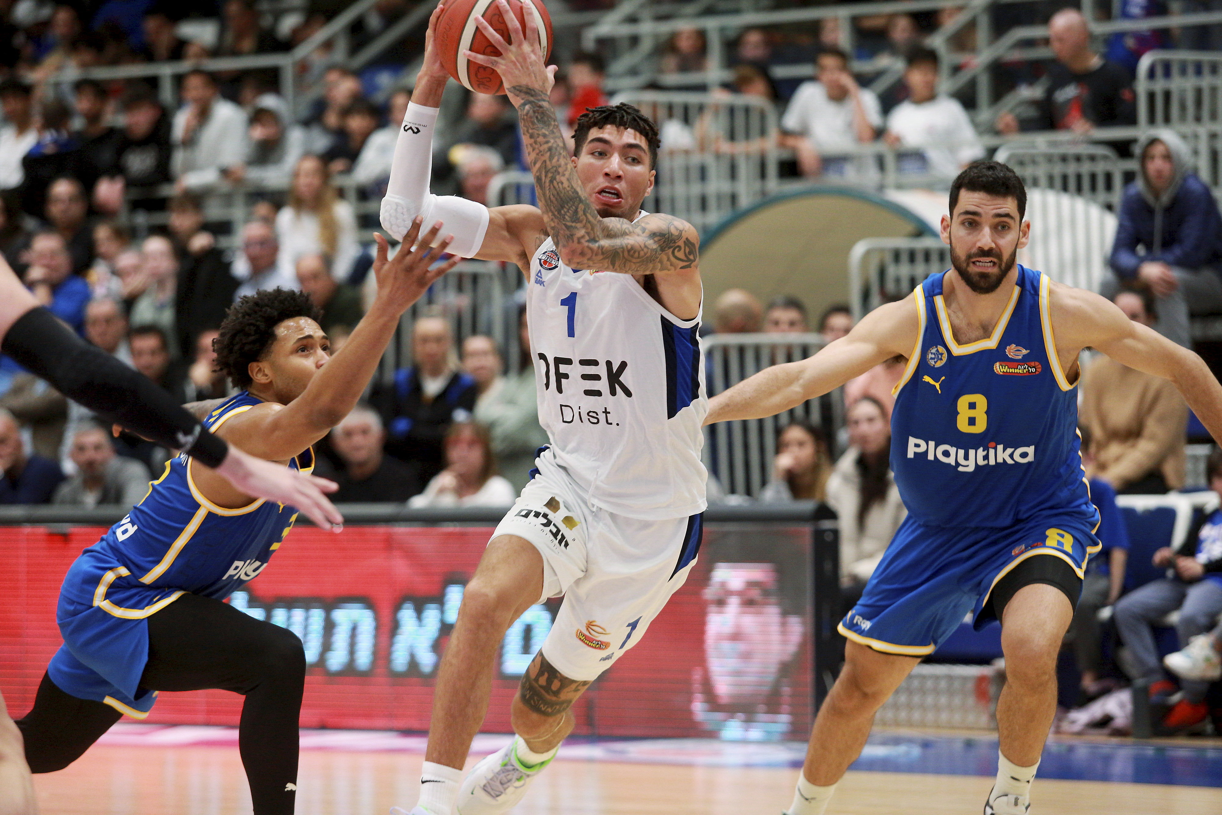 סנדי כהן בני הרצליה