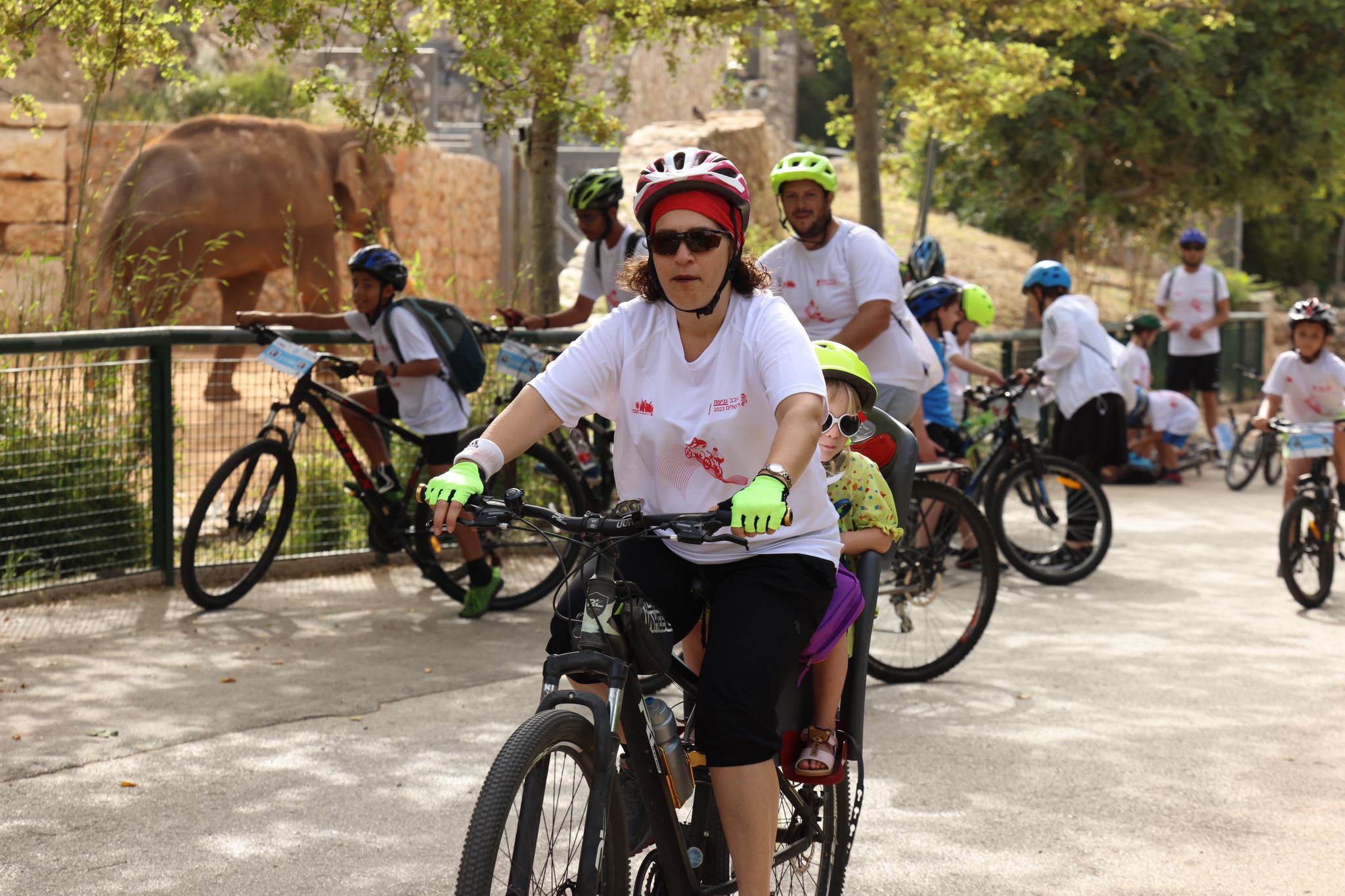 סובב נביעות ירושלים