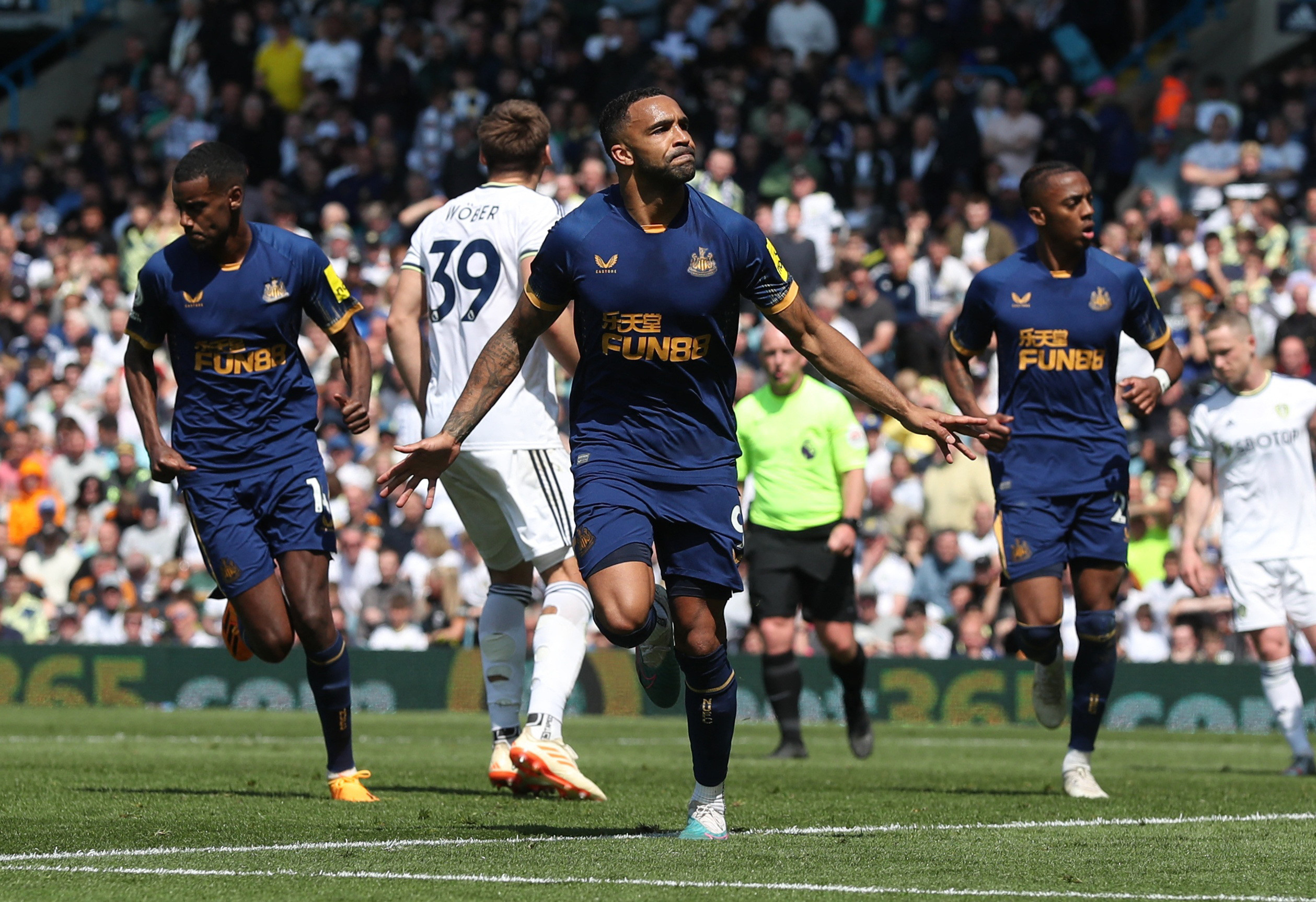 קאלום ווילסון, חלוץ ניוקאסל