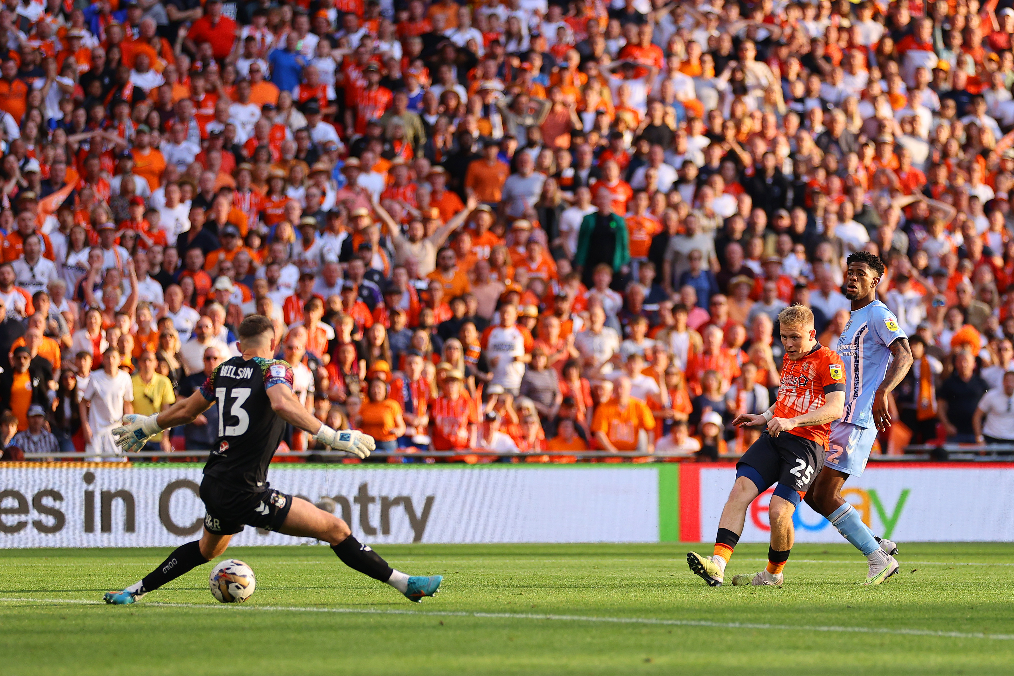 ג'ו טיילור לוטון טאון